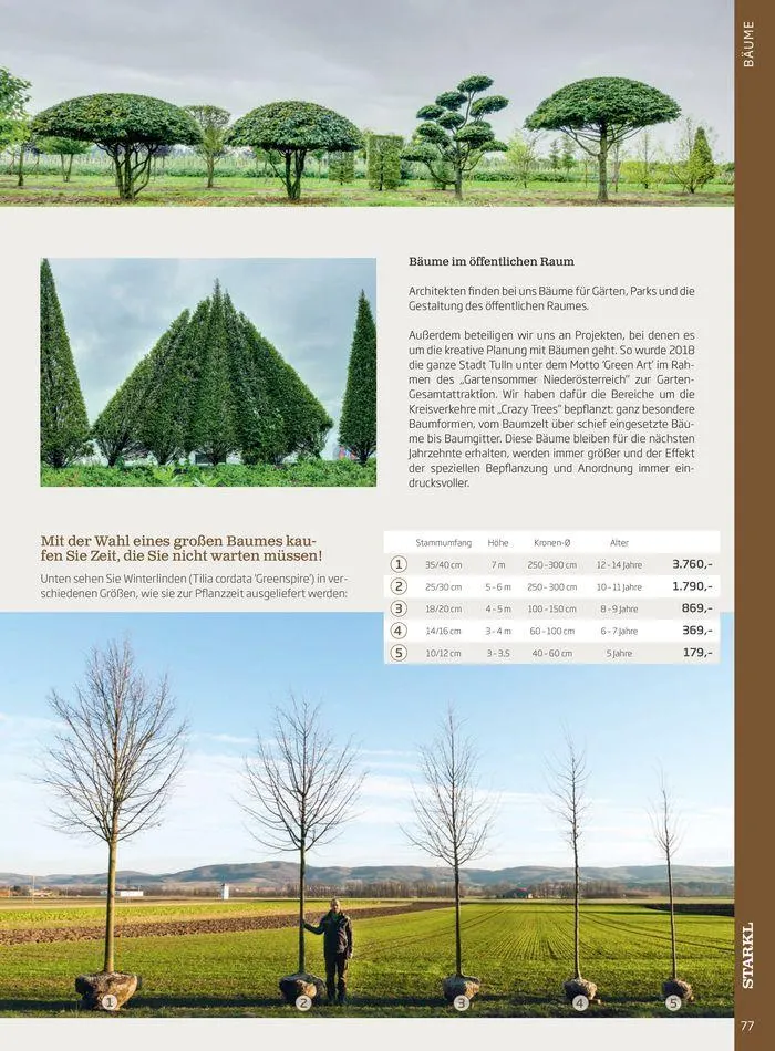 Gartencenter Jahreskatalog 2024 von 20. Mai bis 31. Dezember 2024 - Flugblätt seite  77