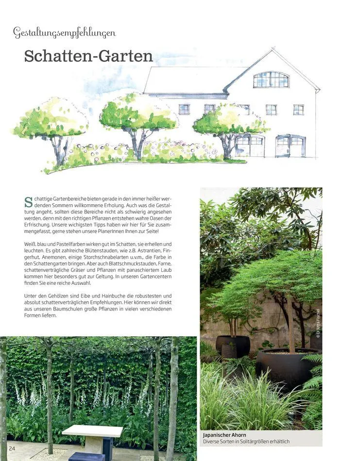 Gartencenter Jahreskatalog 2024 von 20. Mai bis 31. Dezember 2024 - Flugblätt seite 24