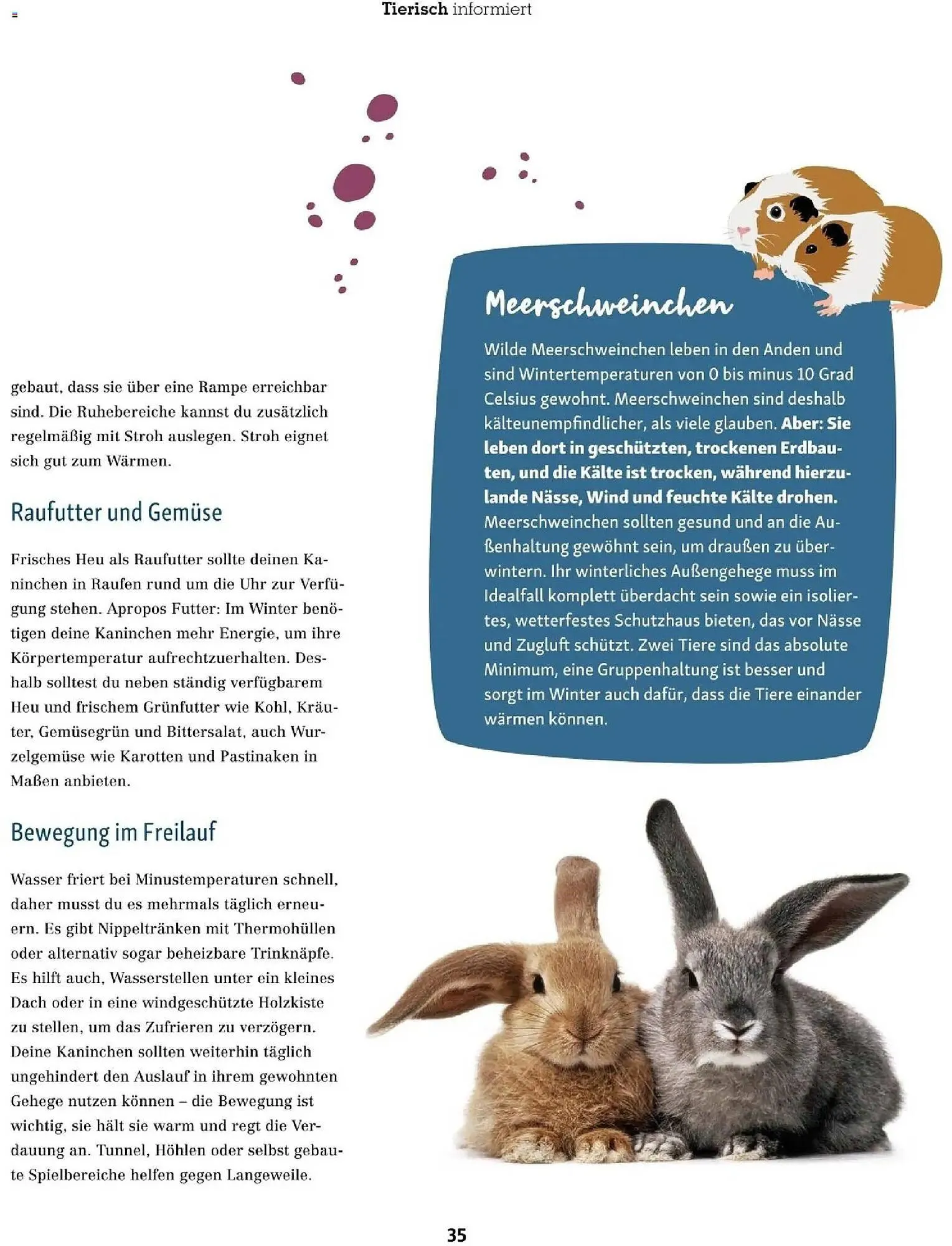 Fressnapf Flugblatt von 1. November bis 31. Dezember 2025 - Flugblätt seite  35