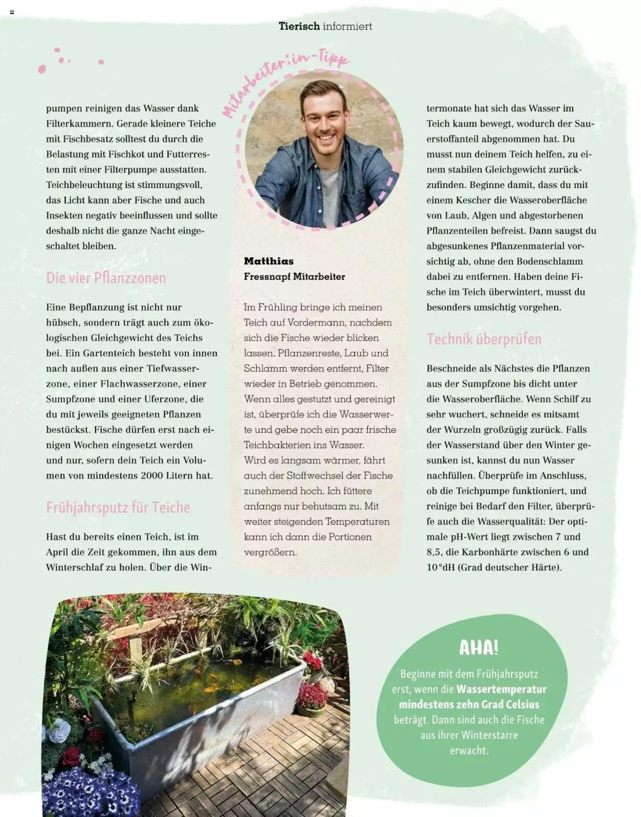 Fressnapf Friends 02/2023 von 1. März bis 31. Dezember 2023 - Flugblätt seite  31