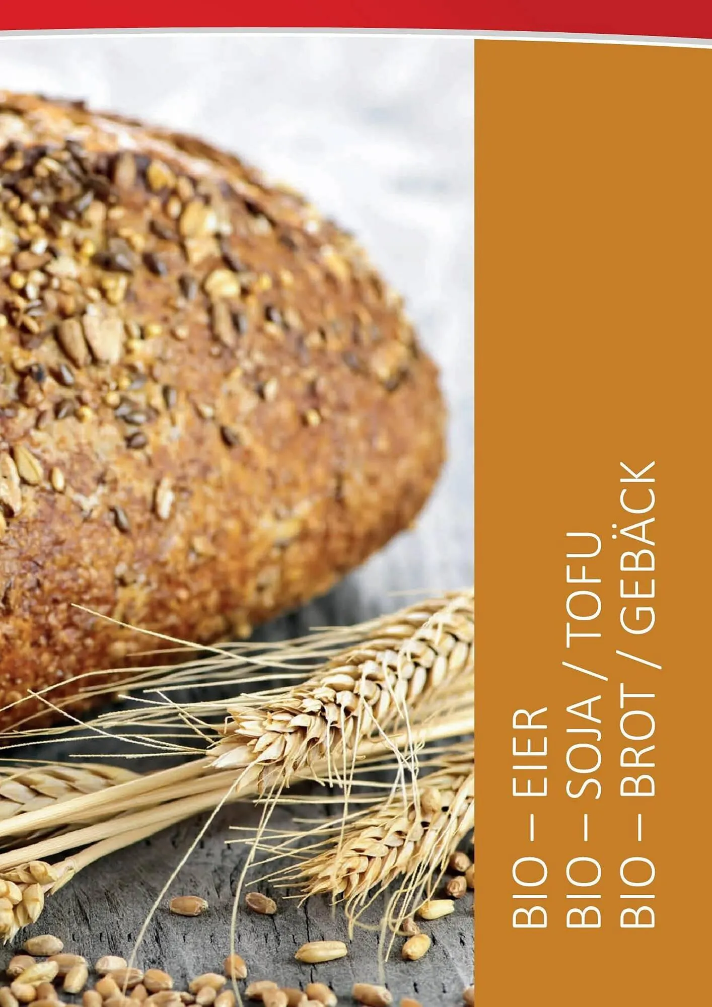 Kastner Flugblatt von 15. September bis 30. Dezember 2023 - Flugblätt seite  83