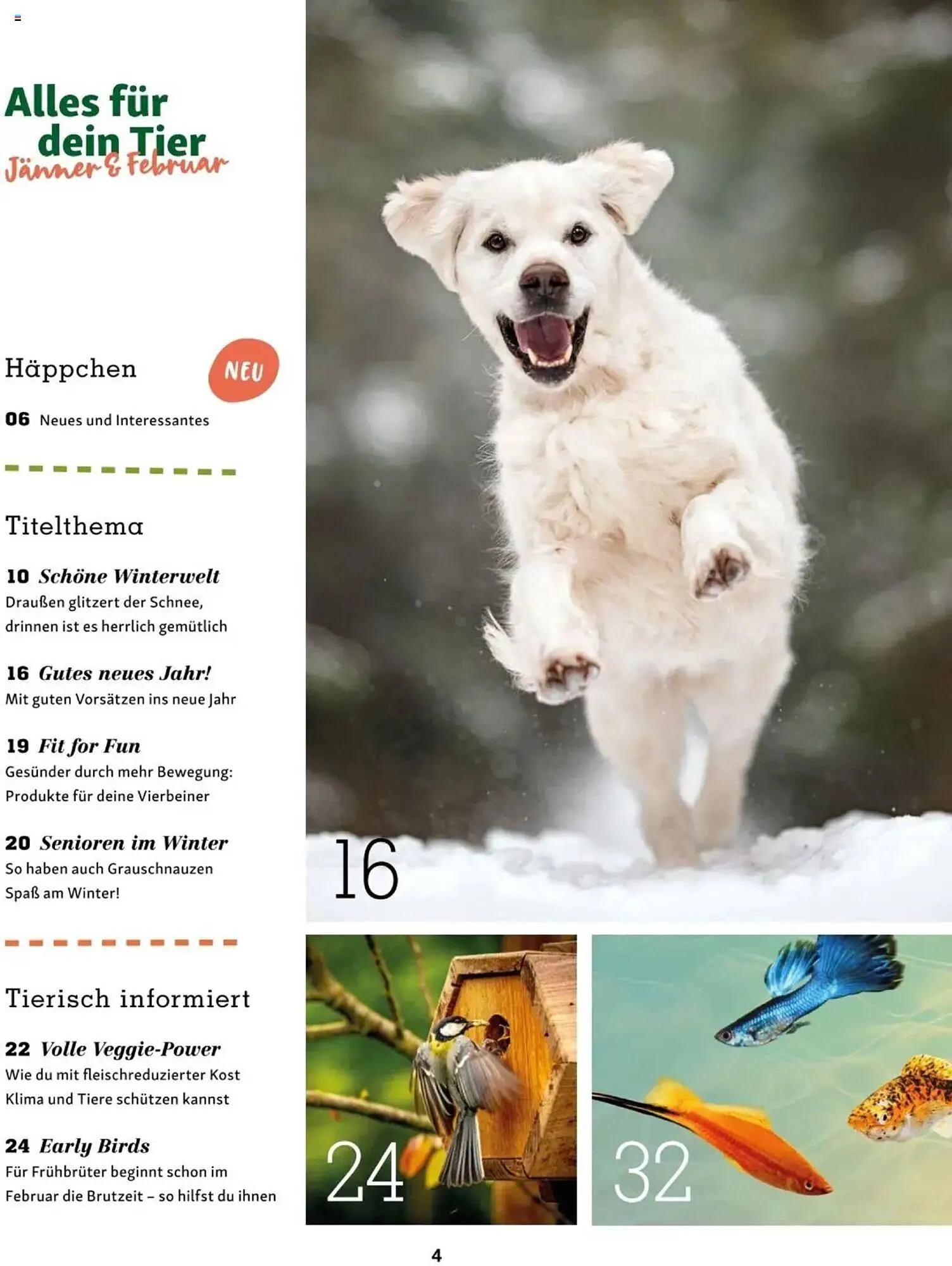 Fressnapf Flugblatt von 2. Jänner bis 2. März 2025 - Flugblätt seite 4