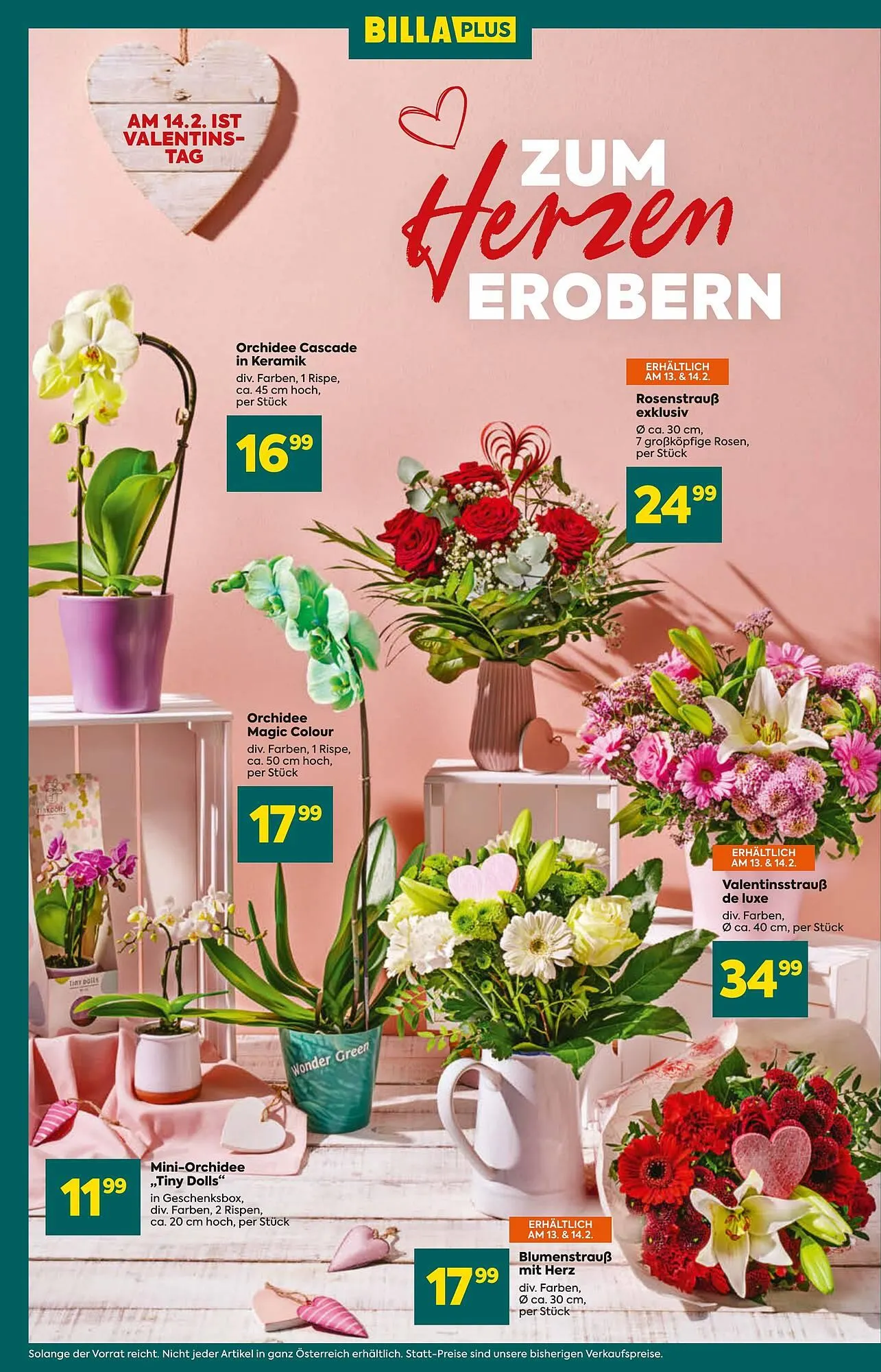 Billa Flugblatt von 13. Februar bis 19. Februar 2025 - Flugblätt seite 6