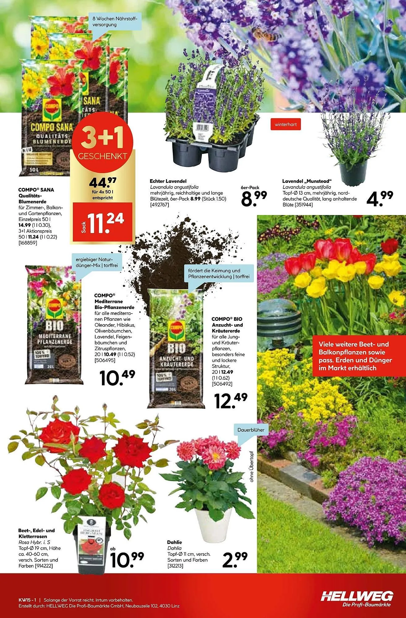 Hellweg Prospekt von 9. April bis 16. April 2026 - Flugblätt seite  15