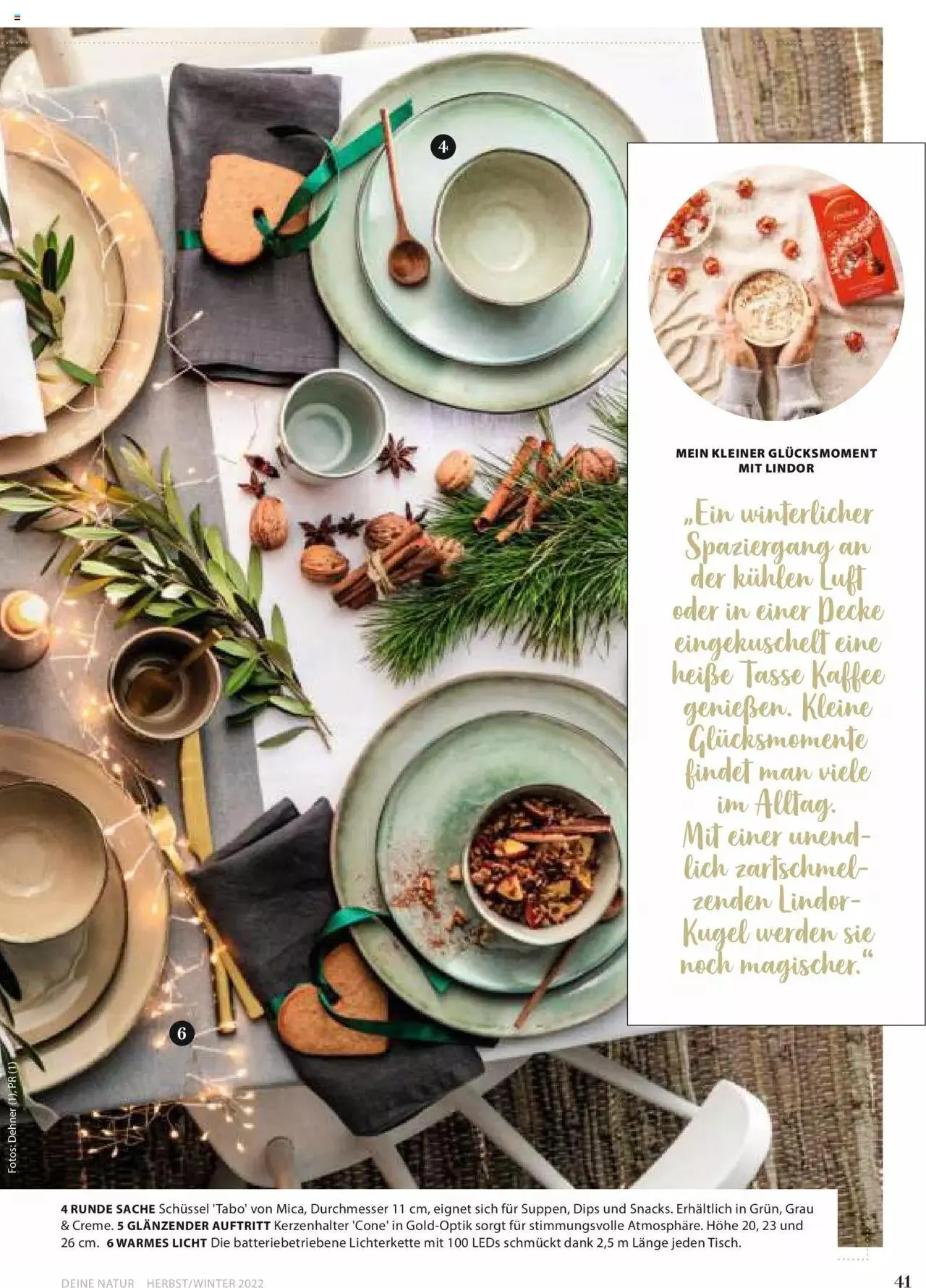 Dehner Flugblatt von 10. Oktober bis 31. Dezember 2023 - Flugblätt seite  41