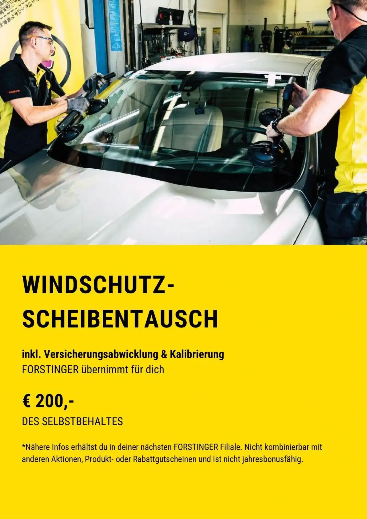 Forstinger Flugblatt von 19. Juli bis 31. Dezember 2024 - Flugblätt seite 6