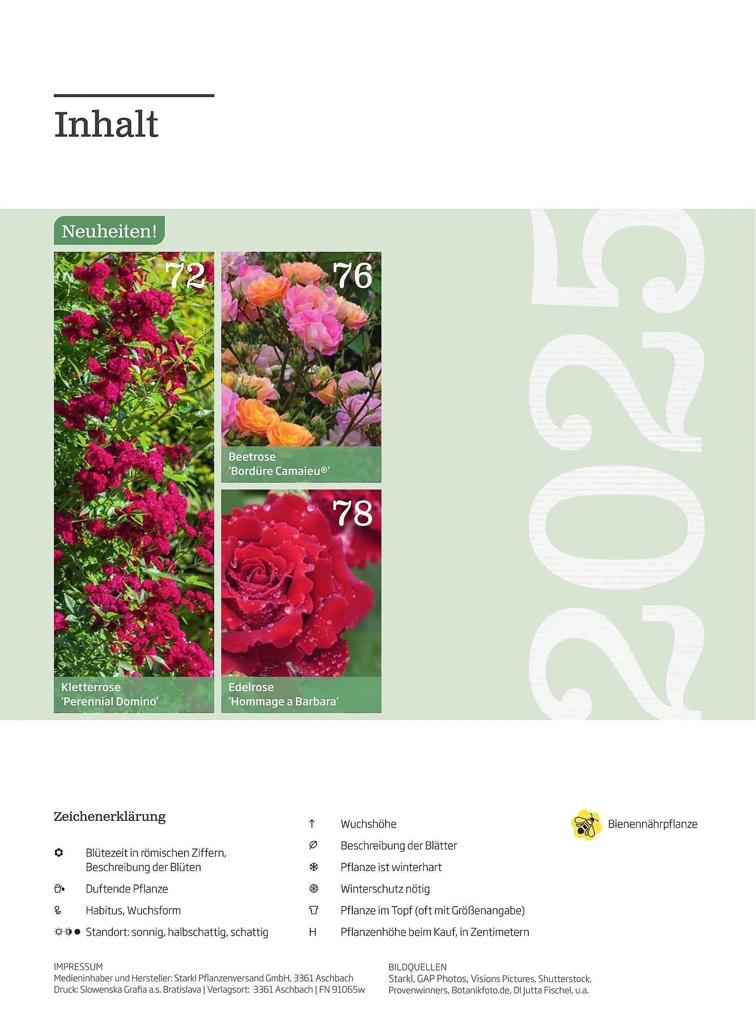 Starkl Flugblatt von 6. Juni bis 31. Dezember 2025 - Flugblätt seite  6