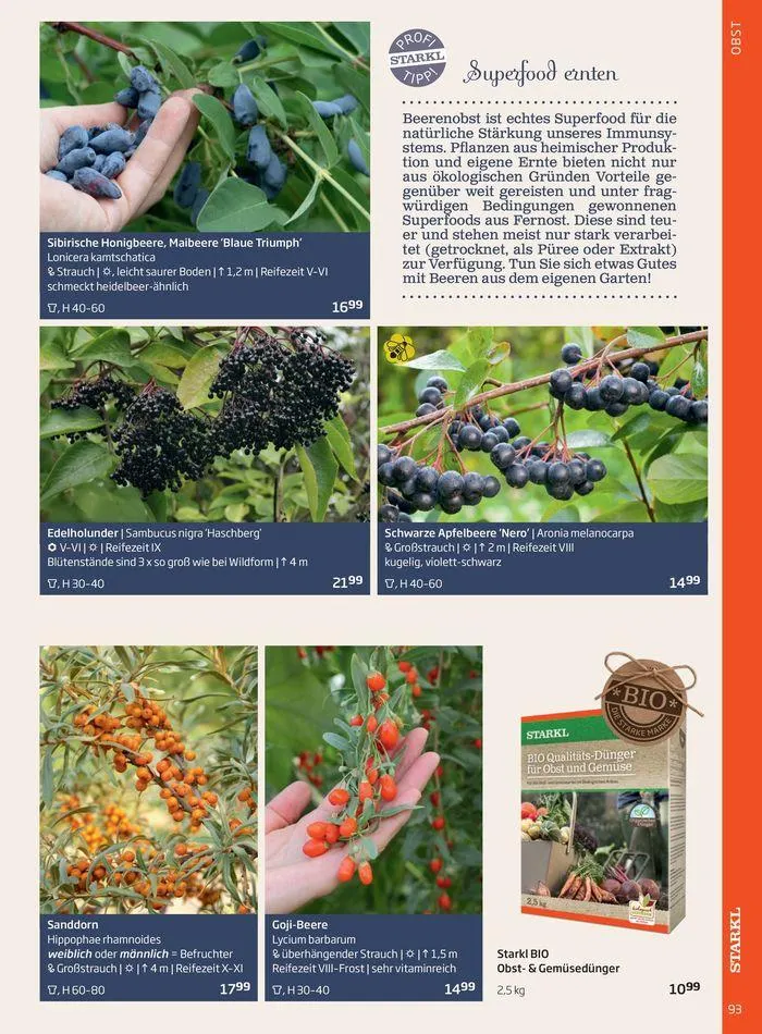 Gartencenter Jahreskatalog 2024 von 20. Mai bis 31. Dezember 2024 - Flugblätt seite  93