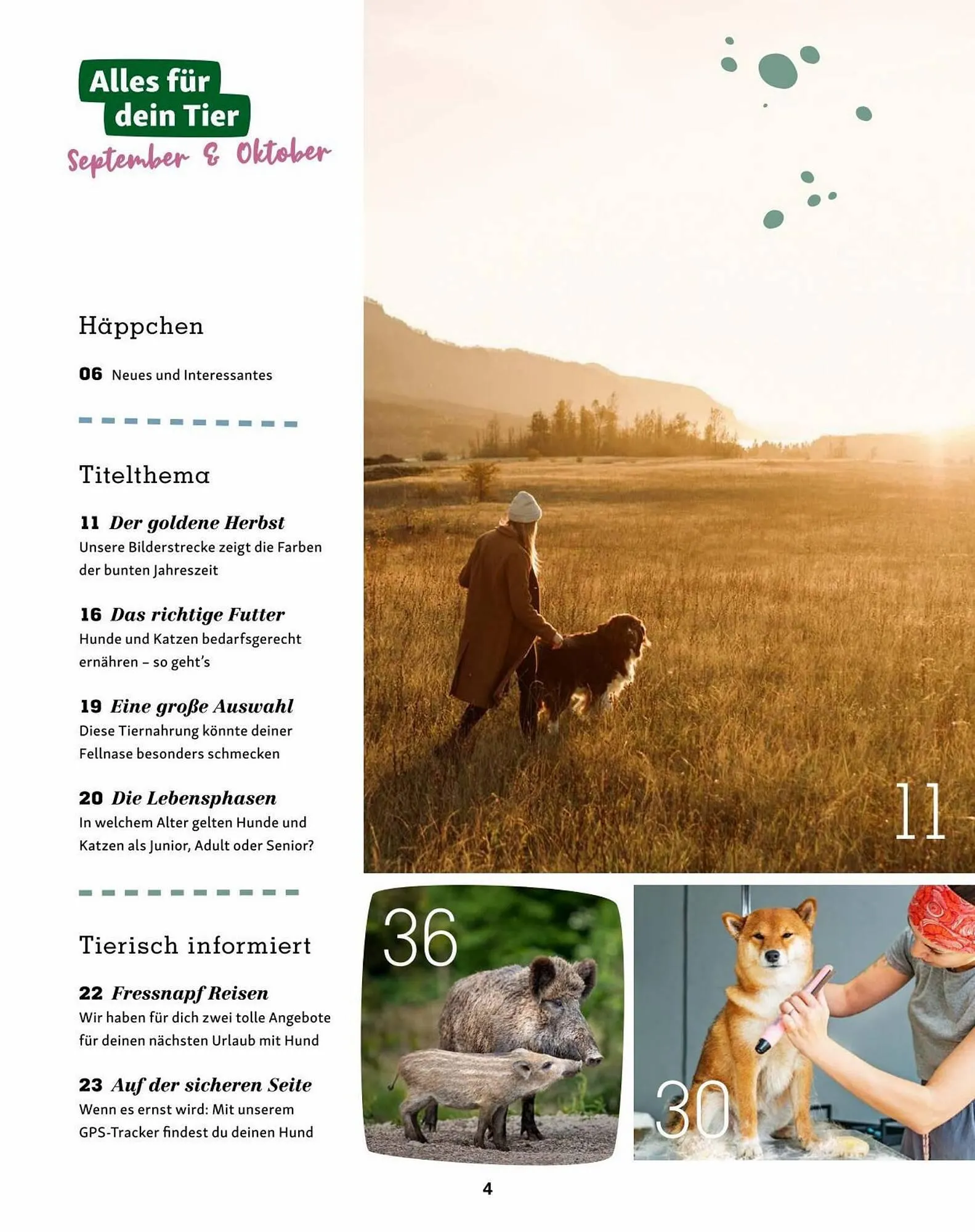 Fressnapf Flugblatt von 30. August bis 31. Oktober 2023 - Flugblätt seite 4