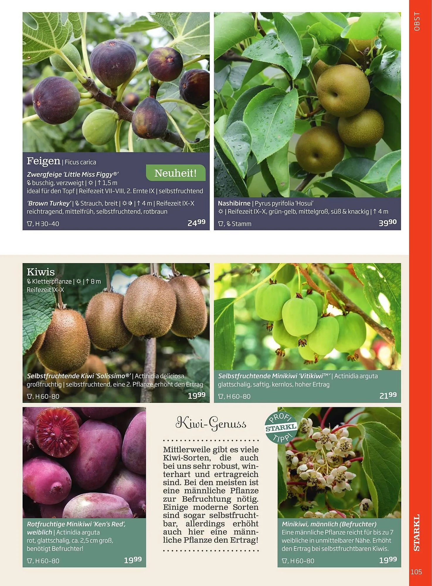 Starkl Flugblatt von 6. Juni bis 31. Dezember 2025 - Flugblätt seite  105