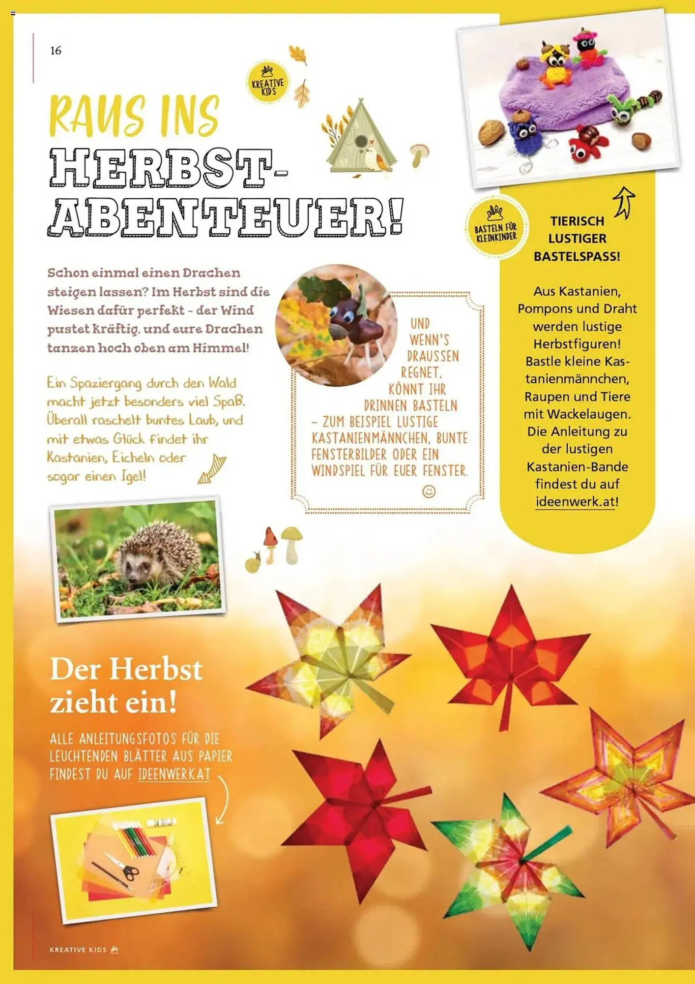 Pagro Diskont Flugblatt von 17. September bis 12. Dezember 2025 - Flugblätt seite 16