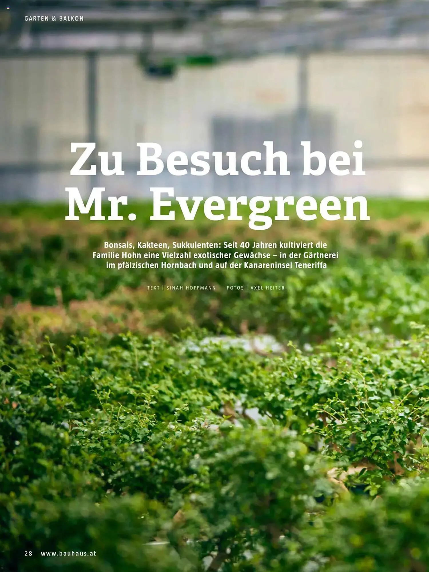 Bauhaus Flugblatt von 1. Oktober bis 31. März 2026 - Flugblätt seite  28