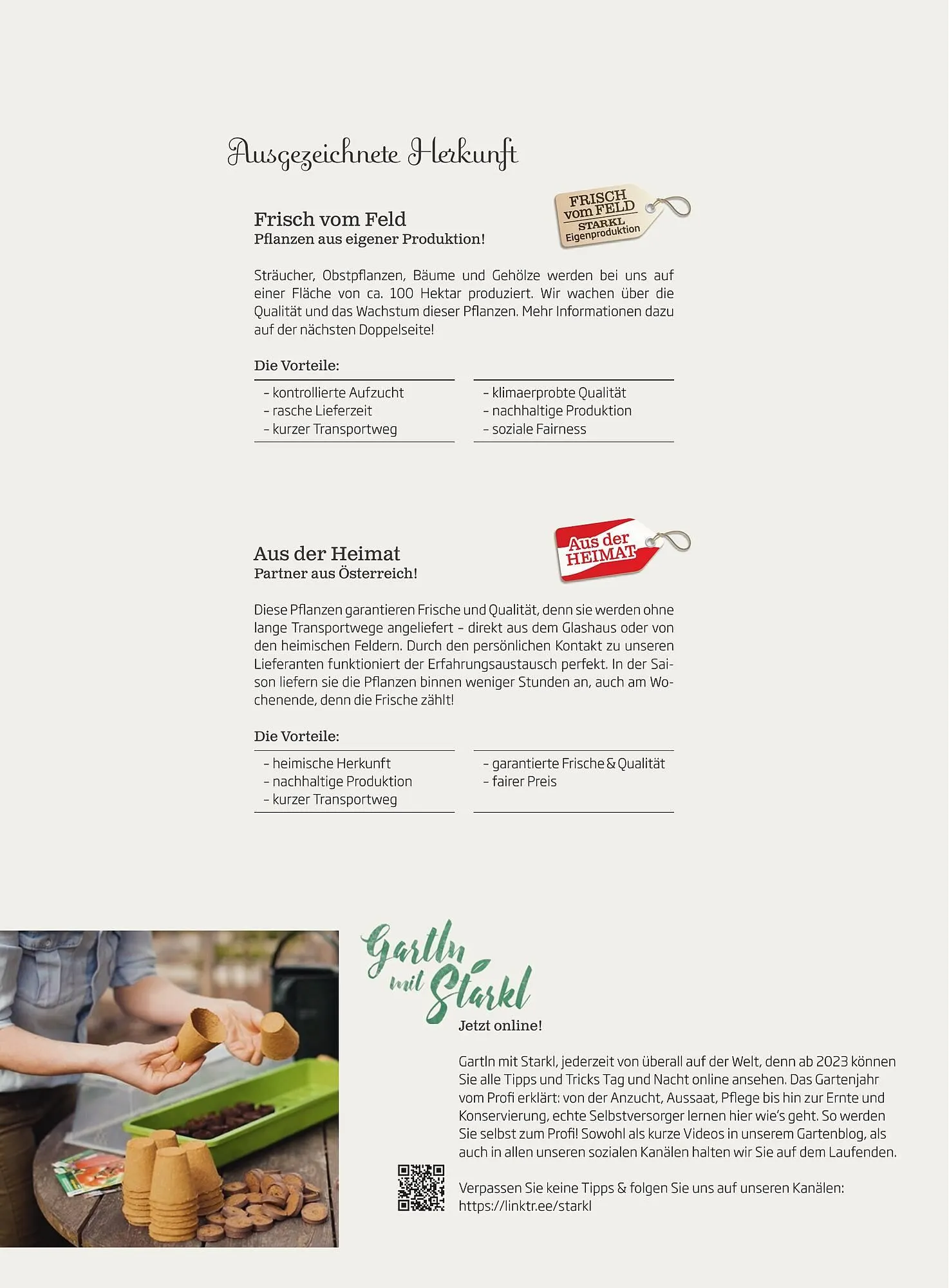 Starkl Flugblatt von 1. Jänner bis 31. Dezember 2023 - Flugblätt seite 2