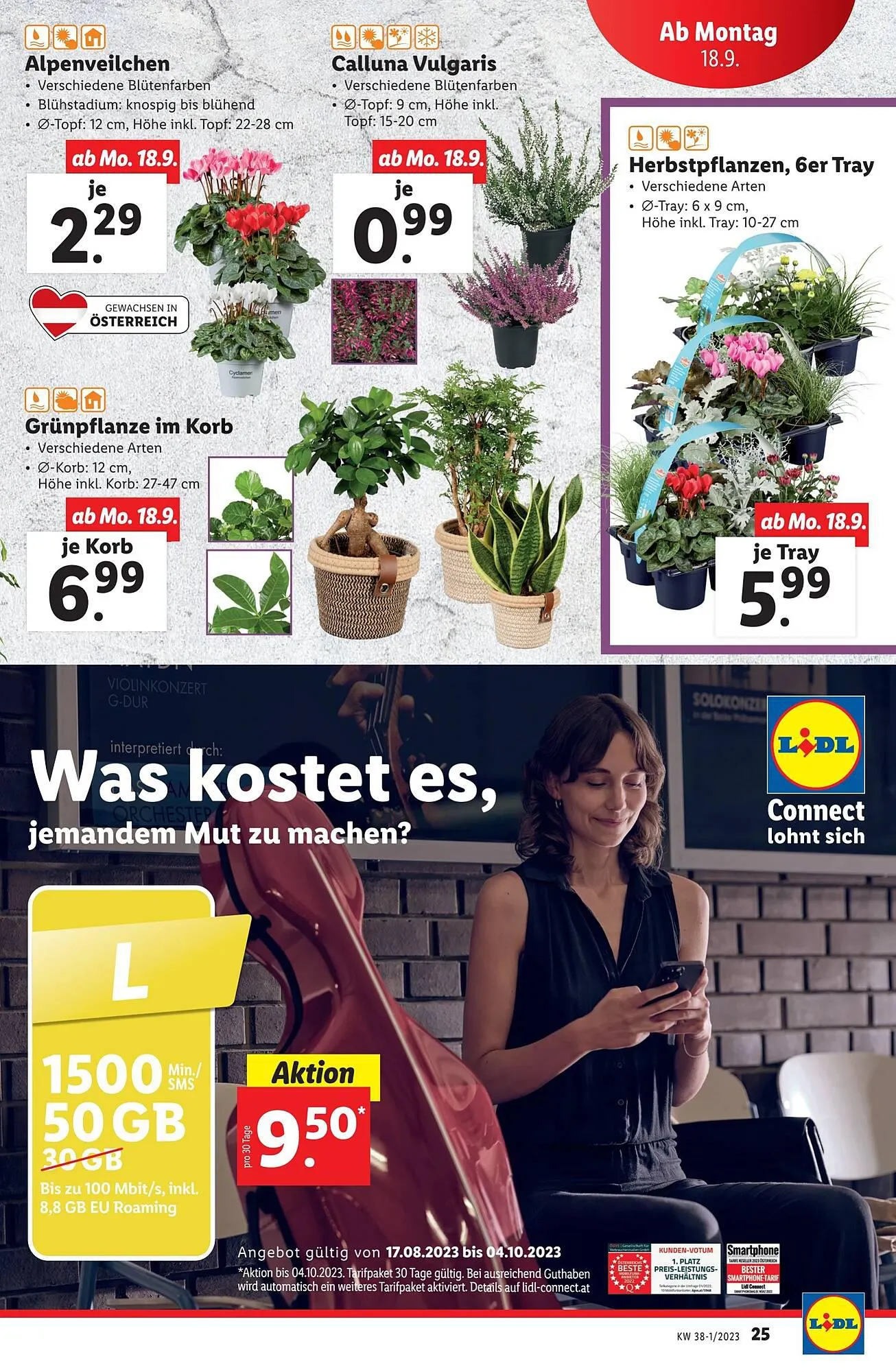 Lidl Flugblatt von 13. September bis 20. September 2023 - Flugblätt seite  25