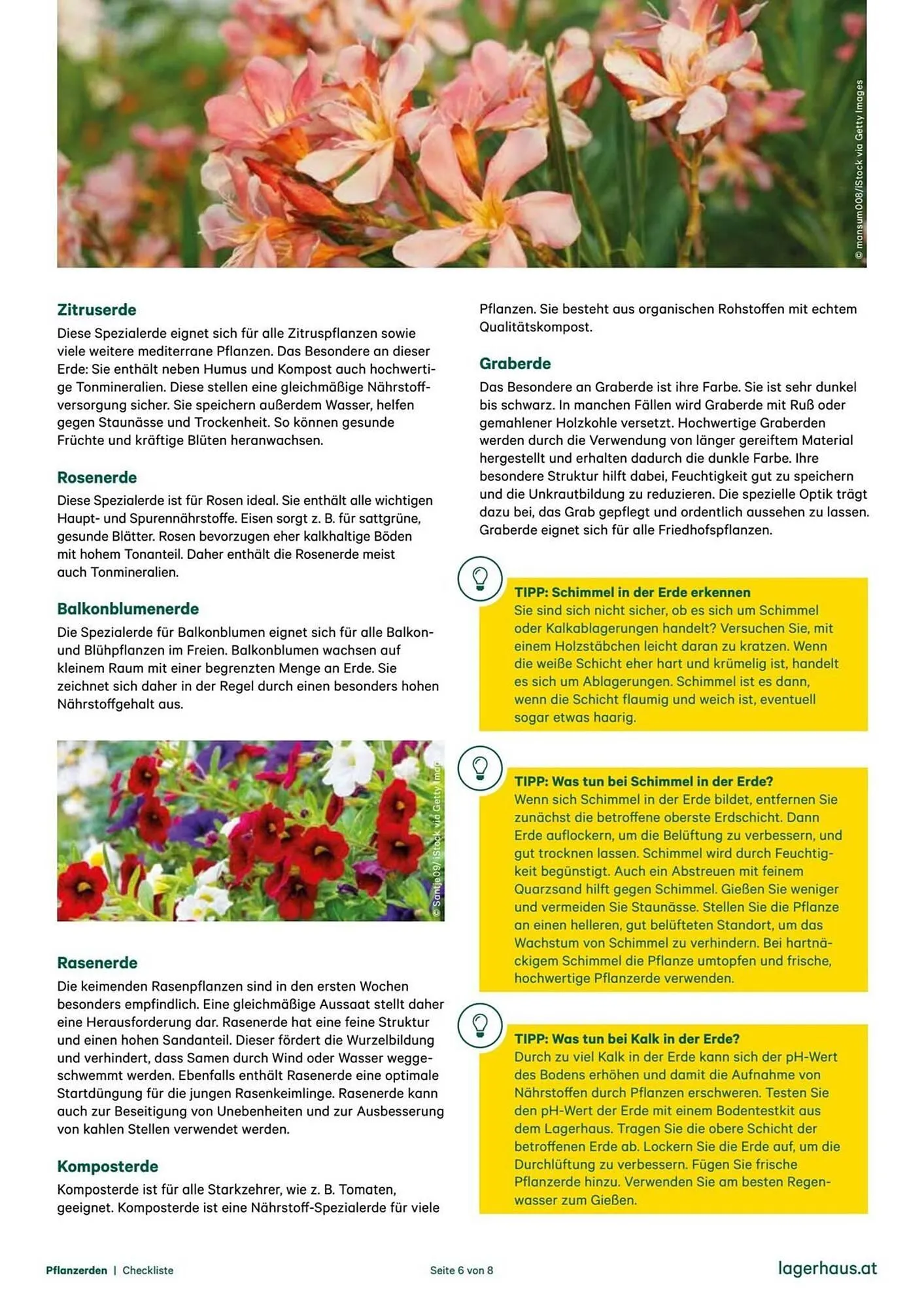 Lagerhaus Flugblatt von 16. Februar bis 4. April 2026 - Flugblätt seite 6