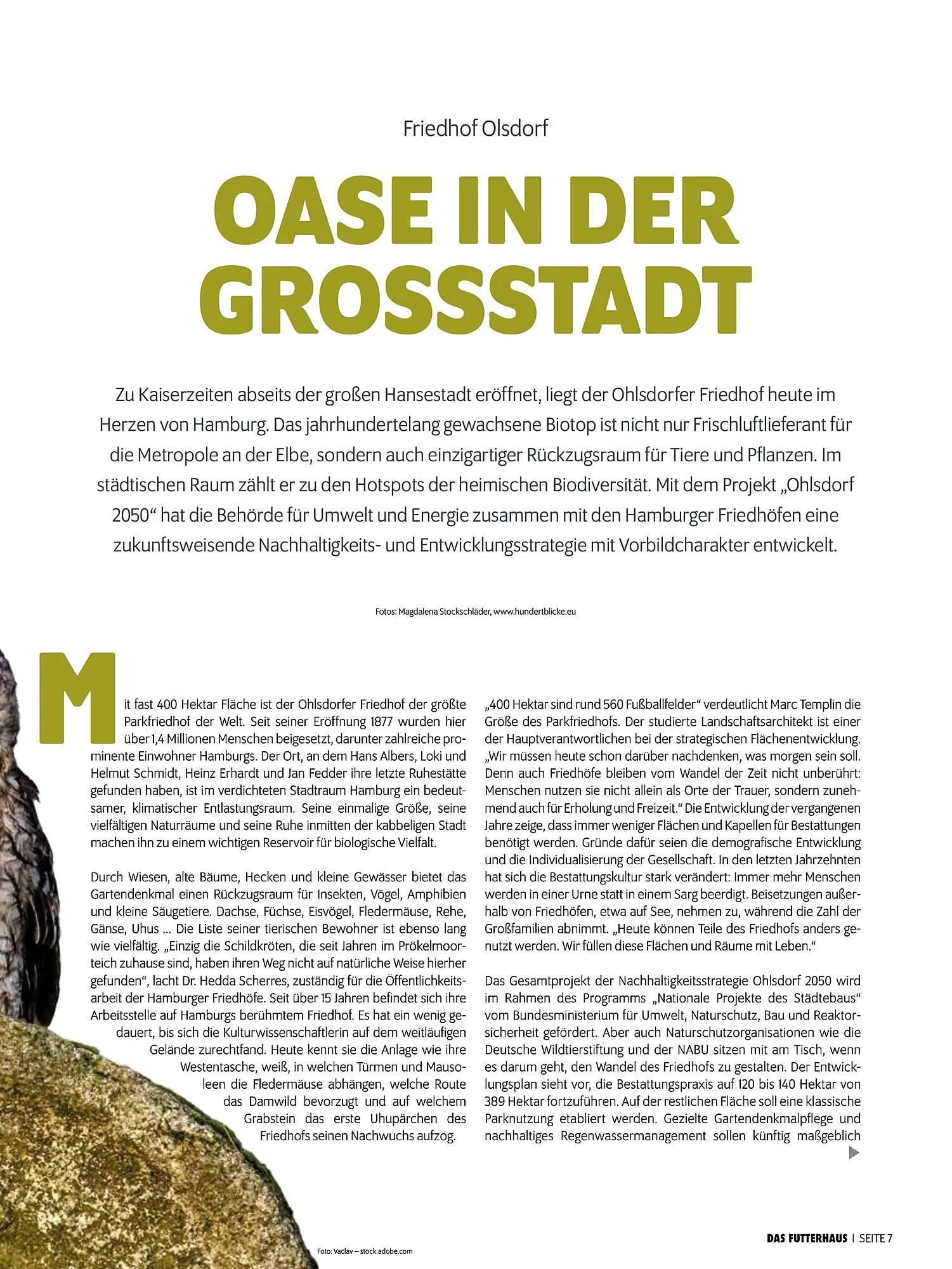 Das Futterhaus Prospekt von 16. Februar bis 8. März 2026 - Flugblätt seite  7