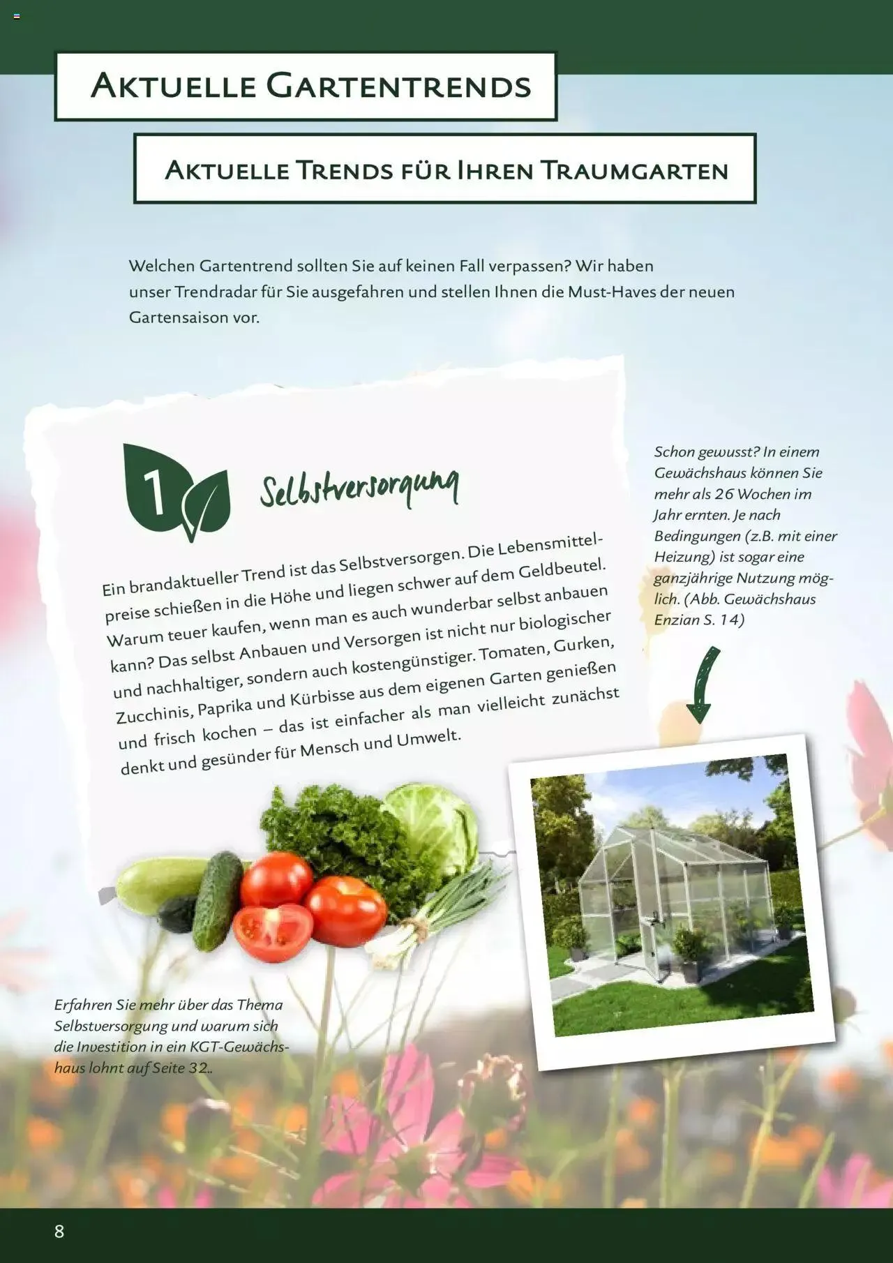 Dehner - KGT Katalog - Gartentechnik & Co. von 6. Februar bis 31. Dezember 2023 - Flugblätt seite  8