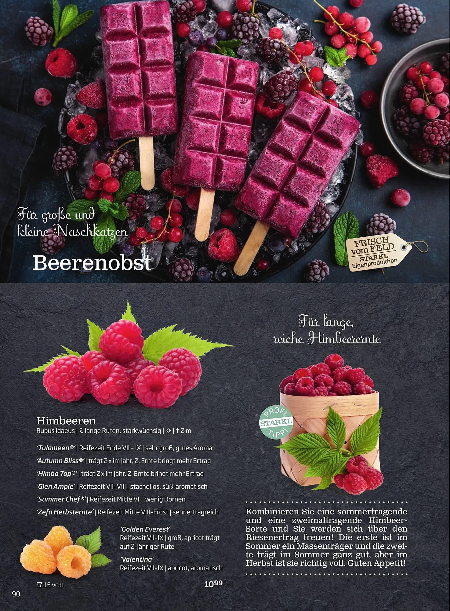 Starkl Flugblatt von 1. April bis 31. Dezember 2024 - Flugblätt seite  90