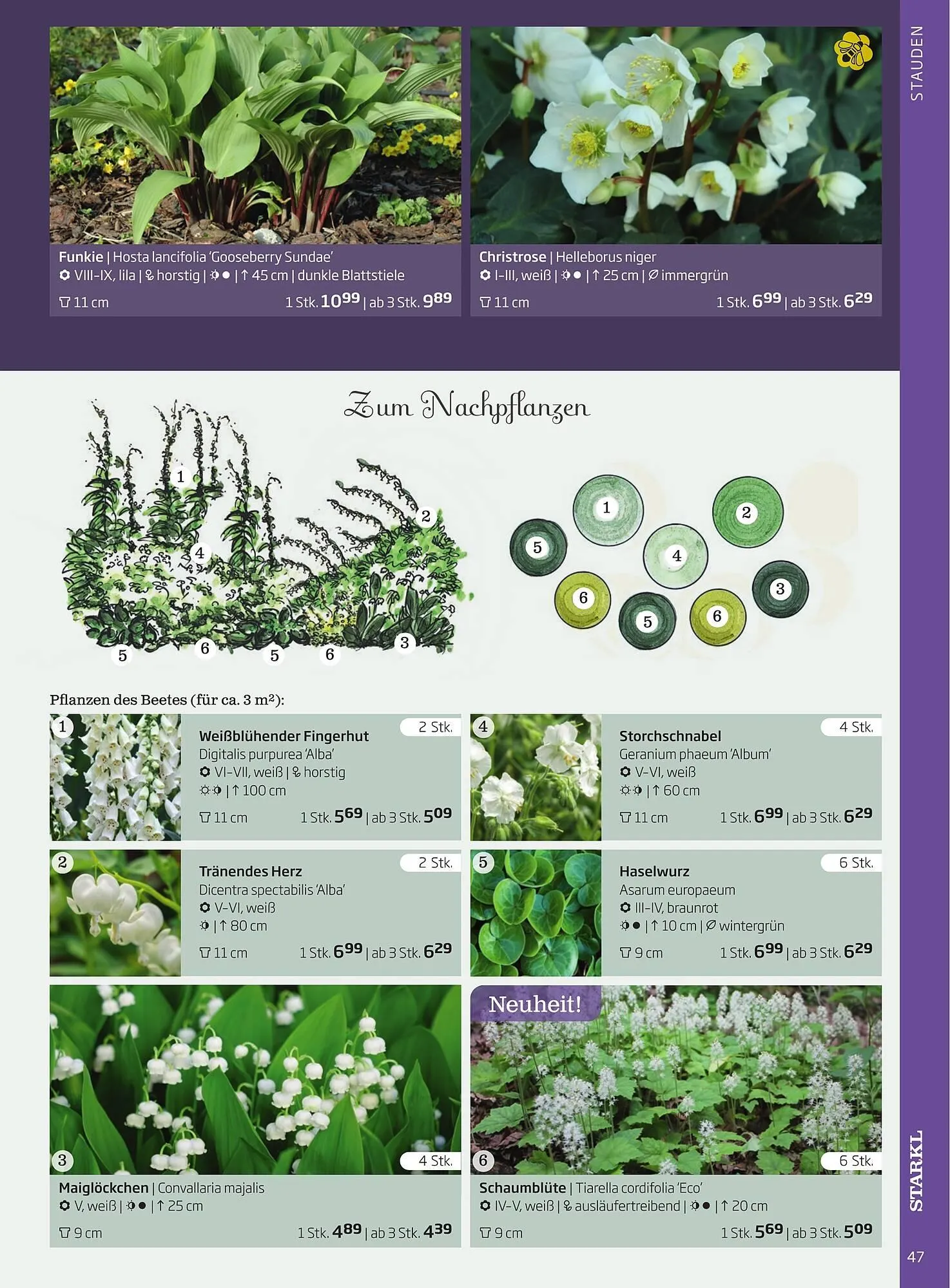 Starkl Flugblatt von 1. Jänner bis 31. Dezember 2023 - Flugblätt seite 47