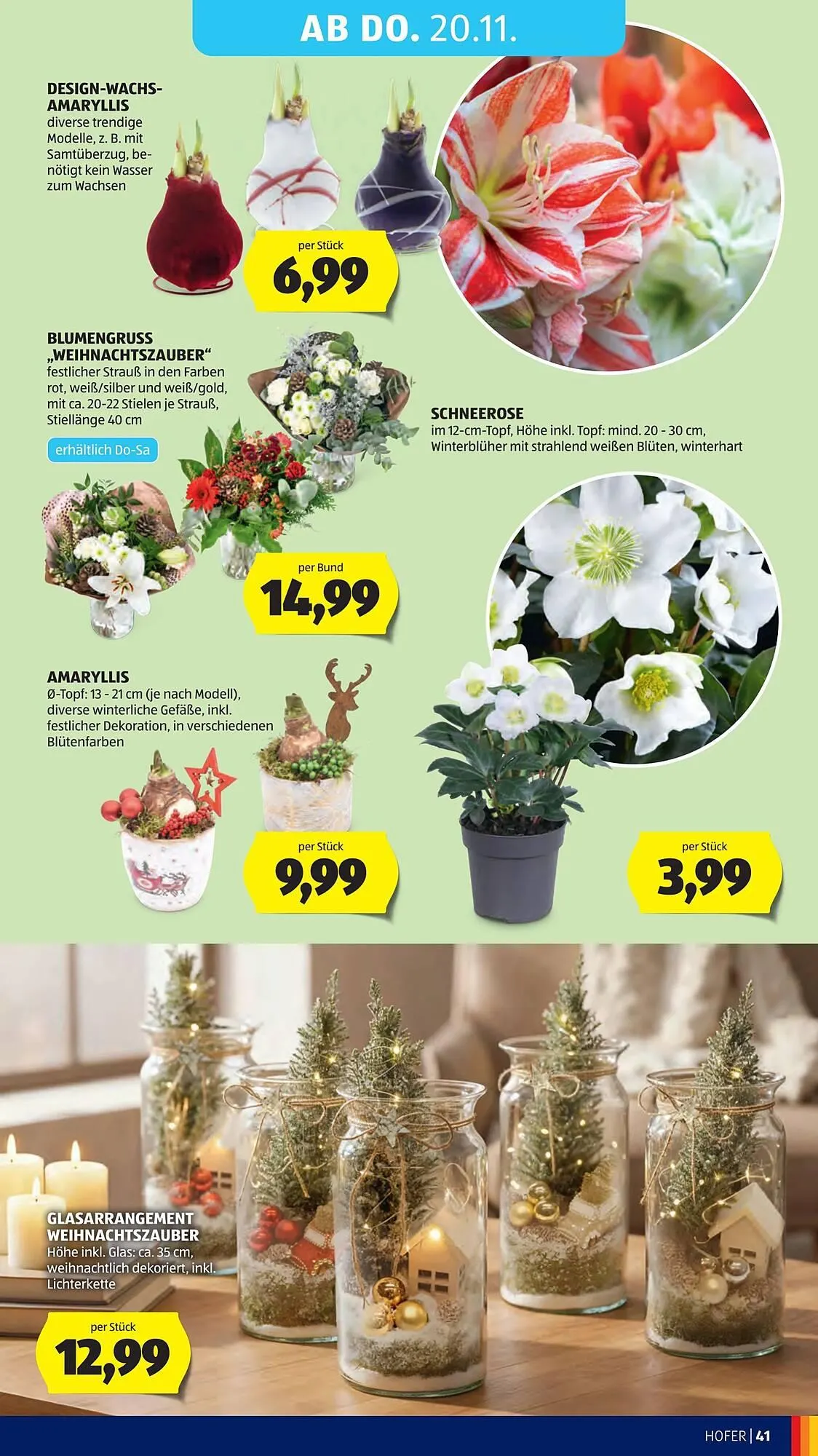 Hofer Flugblatt von 14. November bis 20. November 2025 - Flugblätt seite  49