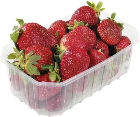 Erdbeeren frisch Griechenland