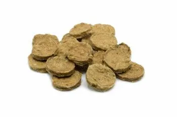 Hund Lachs & Kartoffel 100g