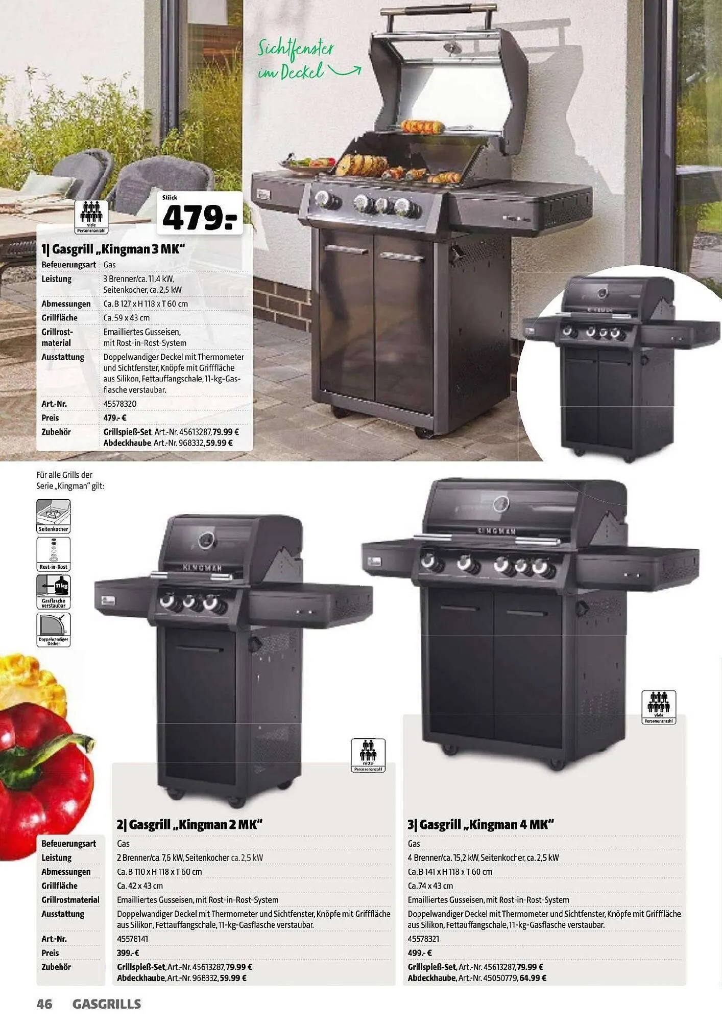 Der Grissemann Flugblatt von 14. März bis 31. Dezember 2025 - Flugblätt seite  46