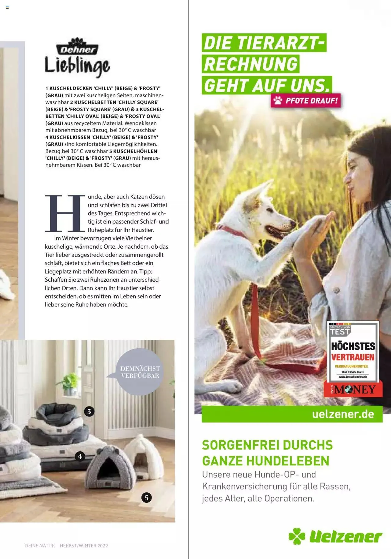 Dehner Flugblatt von 10. Oktober bis 31. Dezember 2023 - Flugblätt seite  89