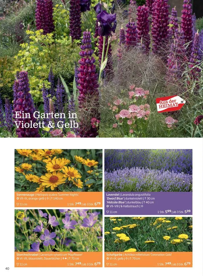 Gartencenter Jahreskatalog 2024 von 20. Mai bis 31. Dezember 2024 - Flugblätt seite  40
