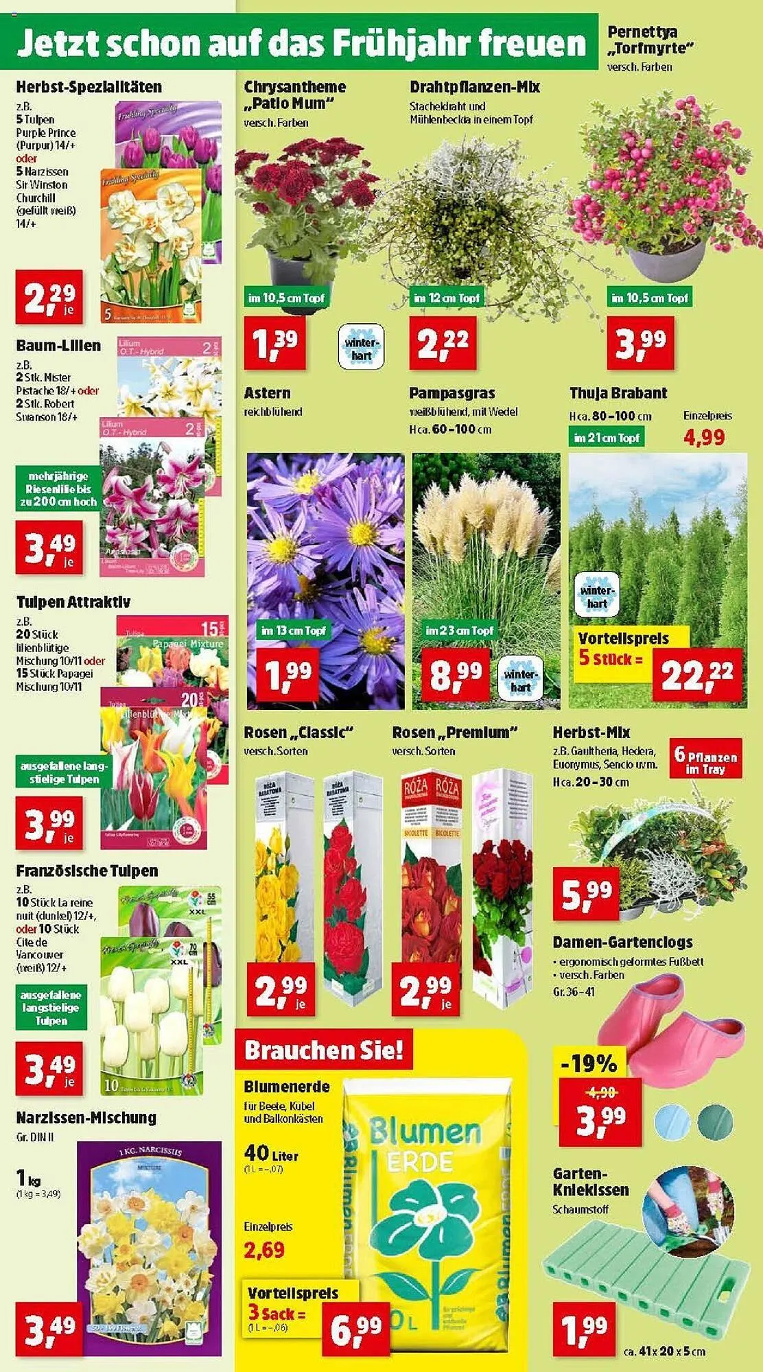 Thomas Philipps Flugblatt von 16. September bis 21. September 2024 - Flugblätt seite  2