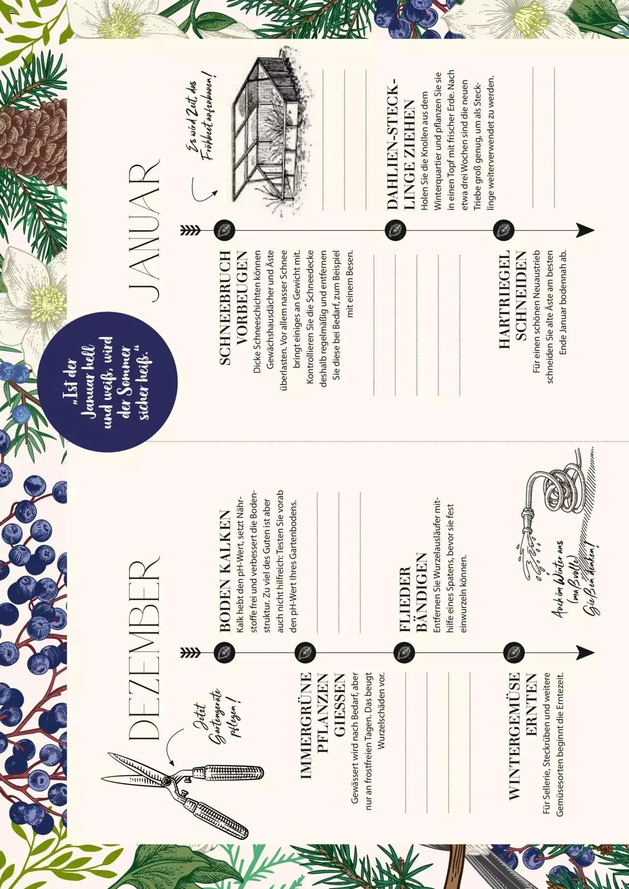 Dehner Flugblatt von 10. Oktober bis 31. Dezember 2023 - Flugblätt seite  50