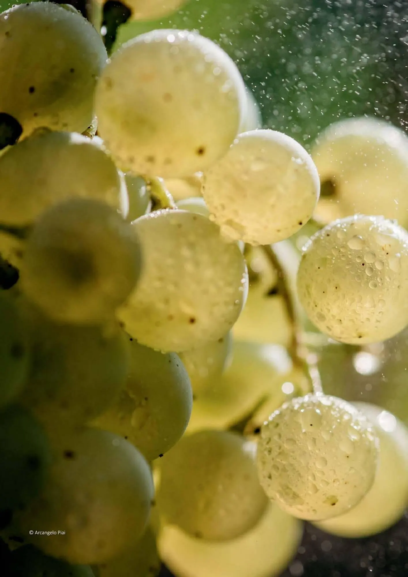 Kastner Flugblatt von 1. Juli bis 30. Dezember 2024 - Flugblätt seite 208