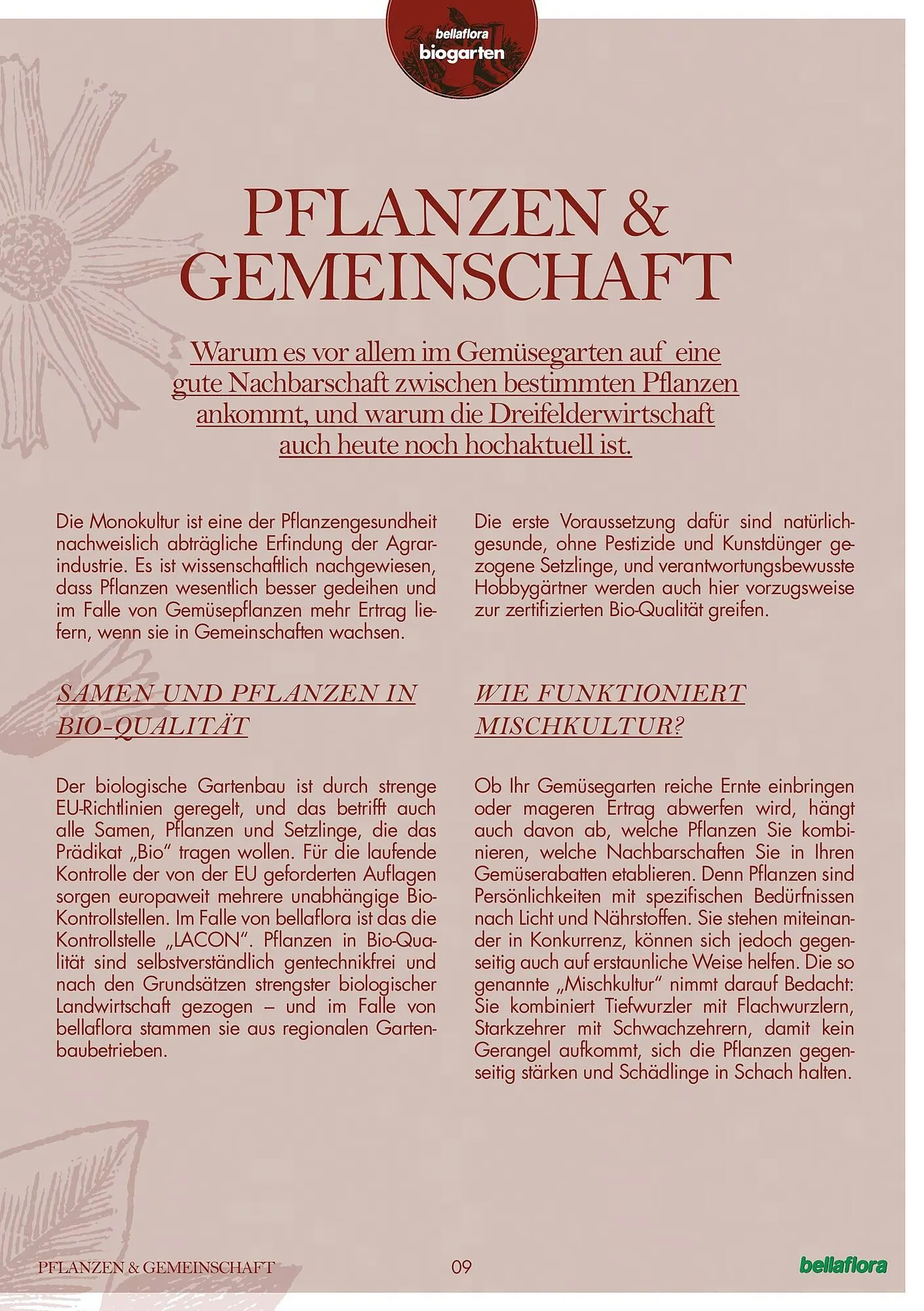 Bellaflora Flugblatt von 3. Jänner bis 31. Mai 2025 - Flugblätt seite 9
