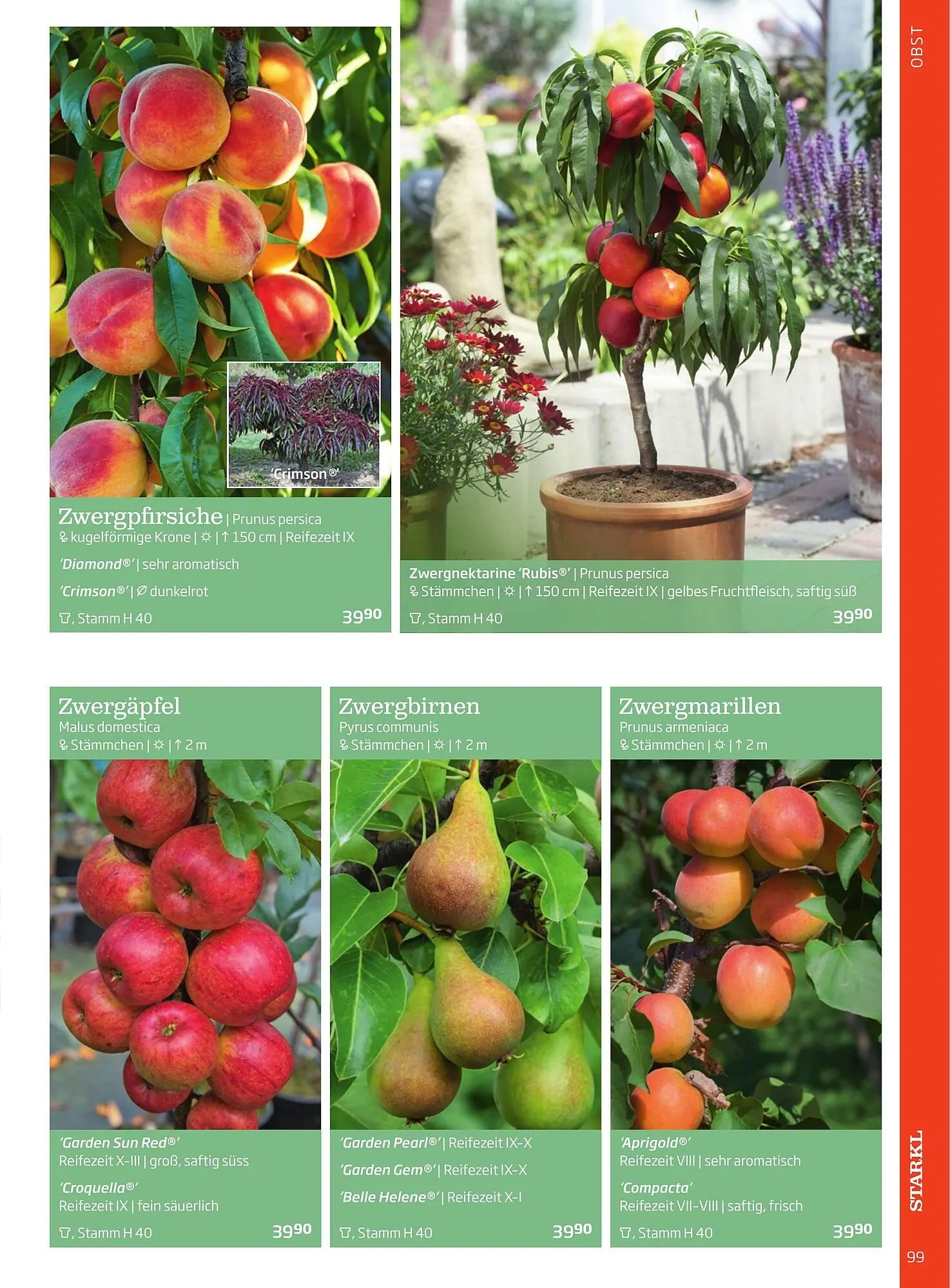 Starkl Flugblatt von 1. Jänner bis 31. Dezember 2023 - Flugblätt seite 99