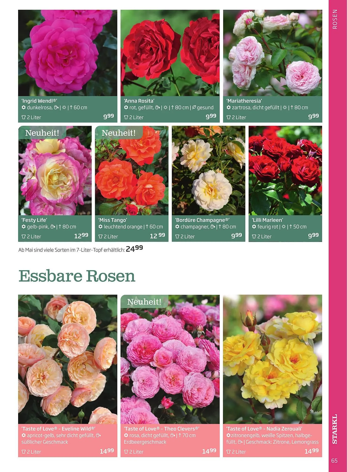 Starkl Flugblatt von 1. April bis 31. Dezember 2024 - Flugblätt seite  65