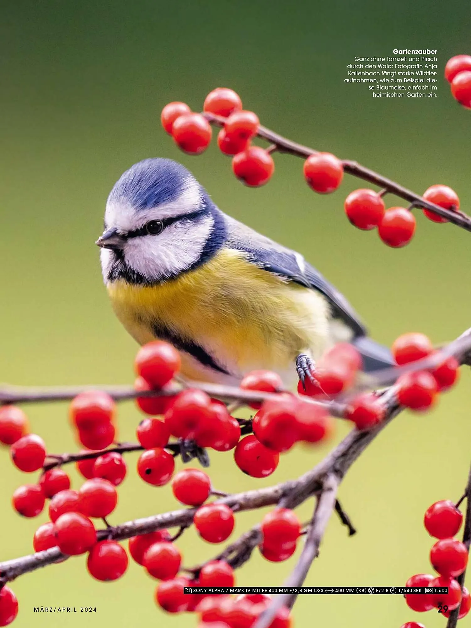 RINGFOTO Flugblatt von 1. März bis 30. April 2024 - Flugblätt seite 29