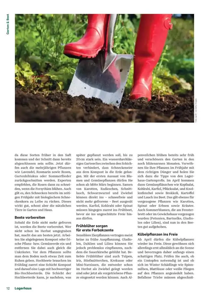 Nr. 1 - Lagerhaus Magazin 2025 von 28. Jänner bis 11. Februar 2025 - Flugblätt seite  12