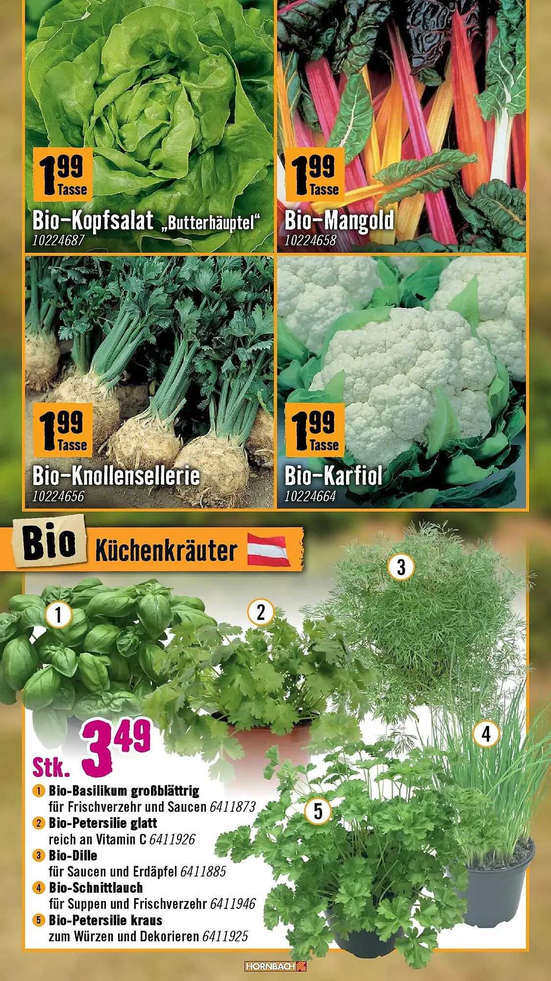 Hornbach Flugblatt von 18. März bis 16. April 2026 - Flugblätt seite 9