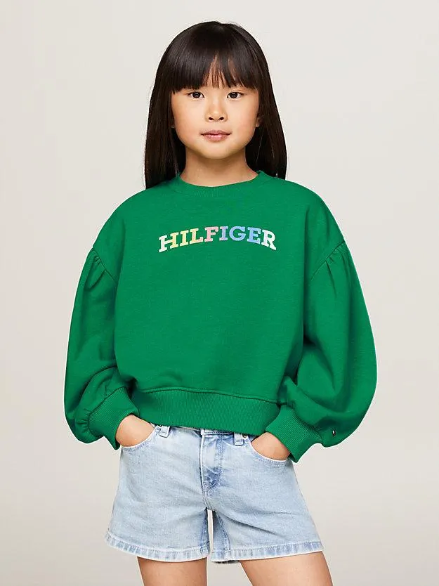 Hilfiger Monotype Relaxed Fit Sweatshirt