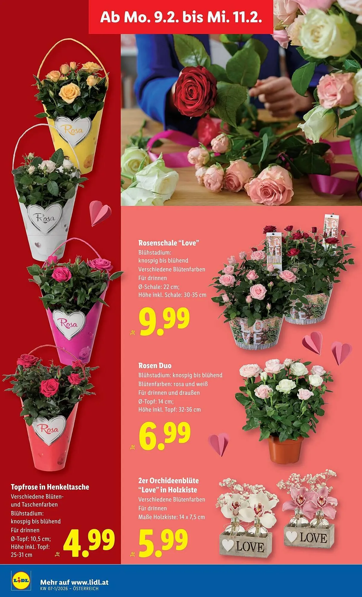 Lidl Flugblatt von 5. Februar bis 12. Februar 2026 - Flugblätt seite 30