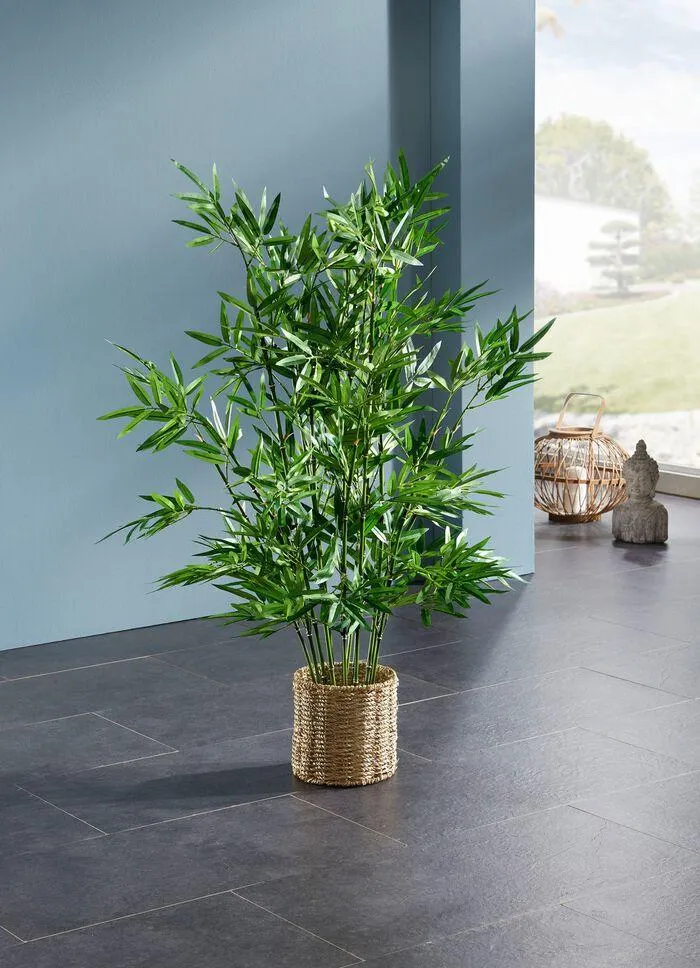 Bambus im Wasserhyazinthen-Korb