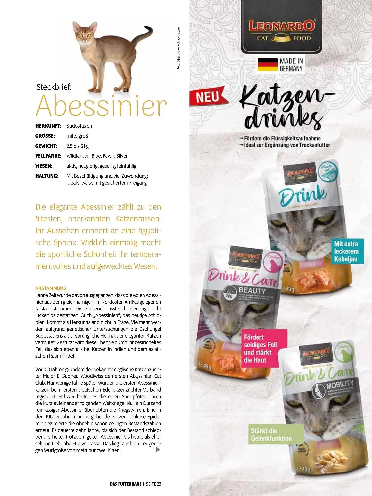 Das Futterhaus Prospekt von 16. Februar bis 8. März 2026 - Flugblätt seite  23