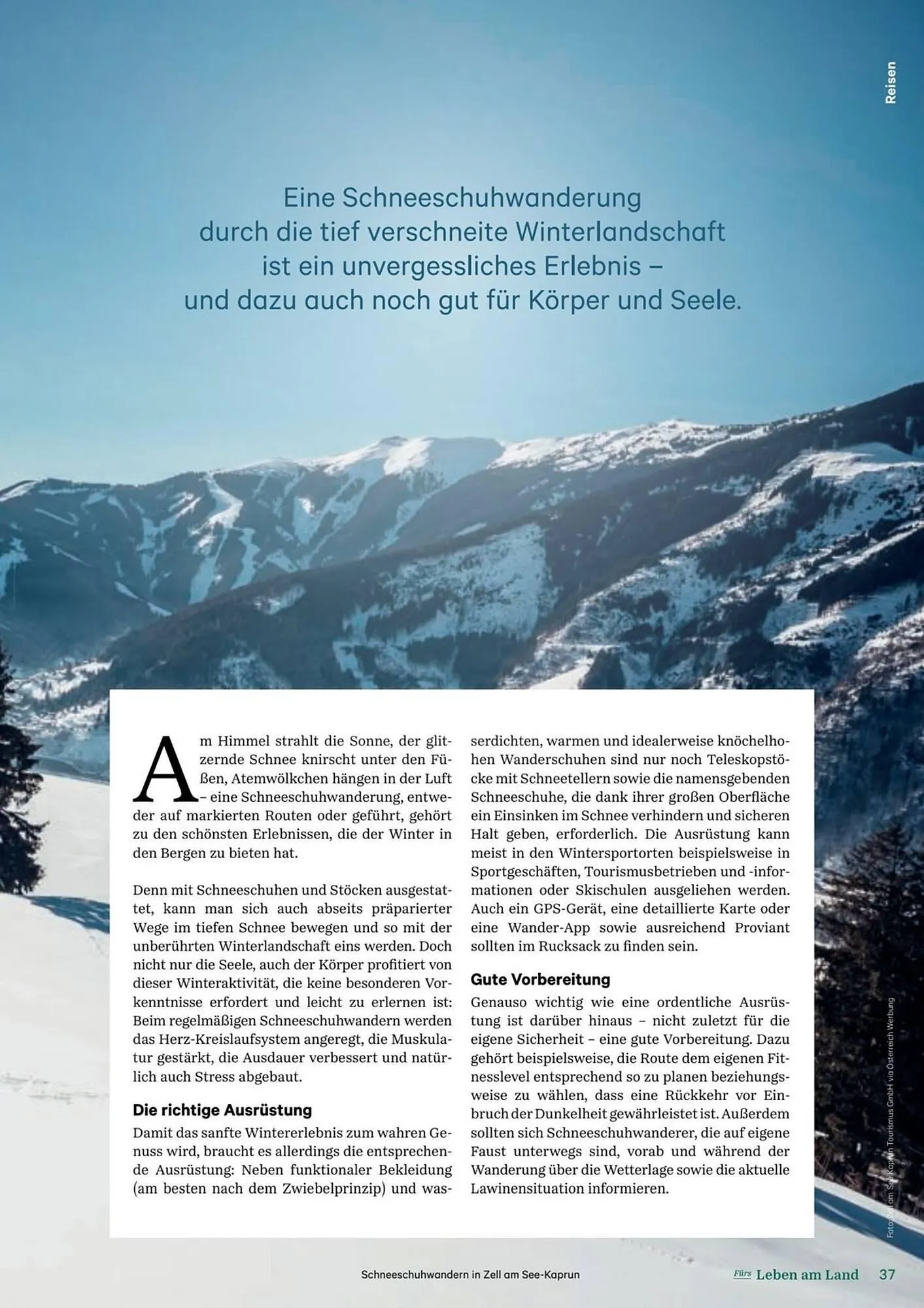 Lagerhaus Flugblatt von 11. Dezember bis 6. Februar 2026 - Flugblätt seite  37