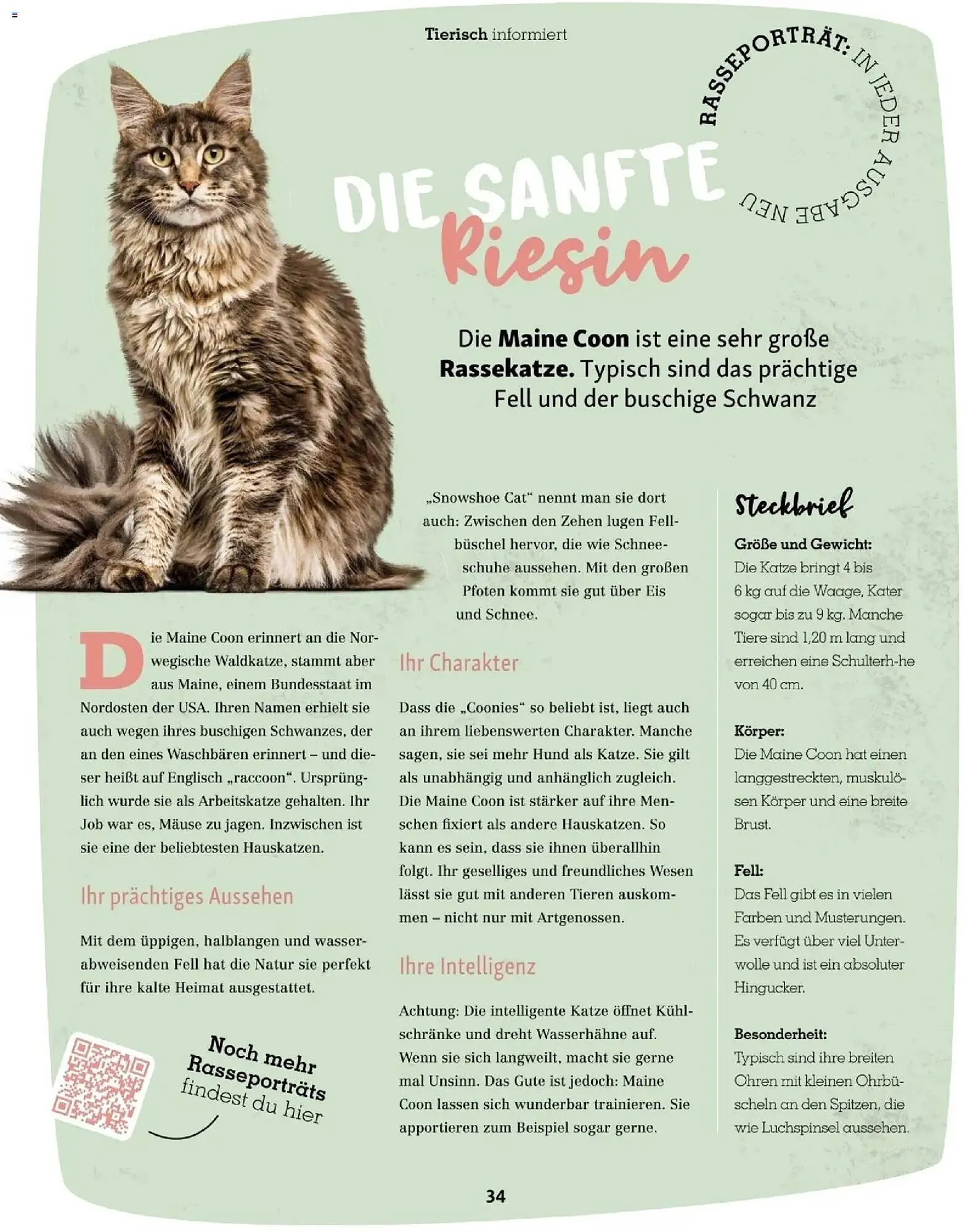 Fressnapf Flugblatt von 1. März bis 30. April 2026 - Flugblätt seite 34