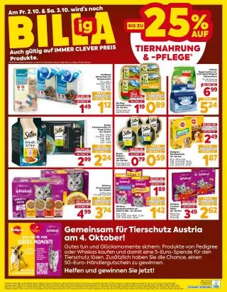 BILLA Flugblatt von 1. Oktober bis 7. Oktober 2026 - Flugblätt seite  16