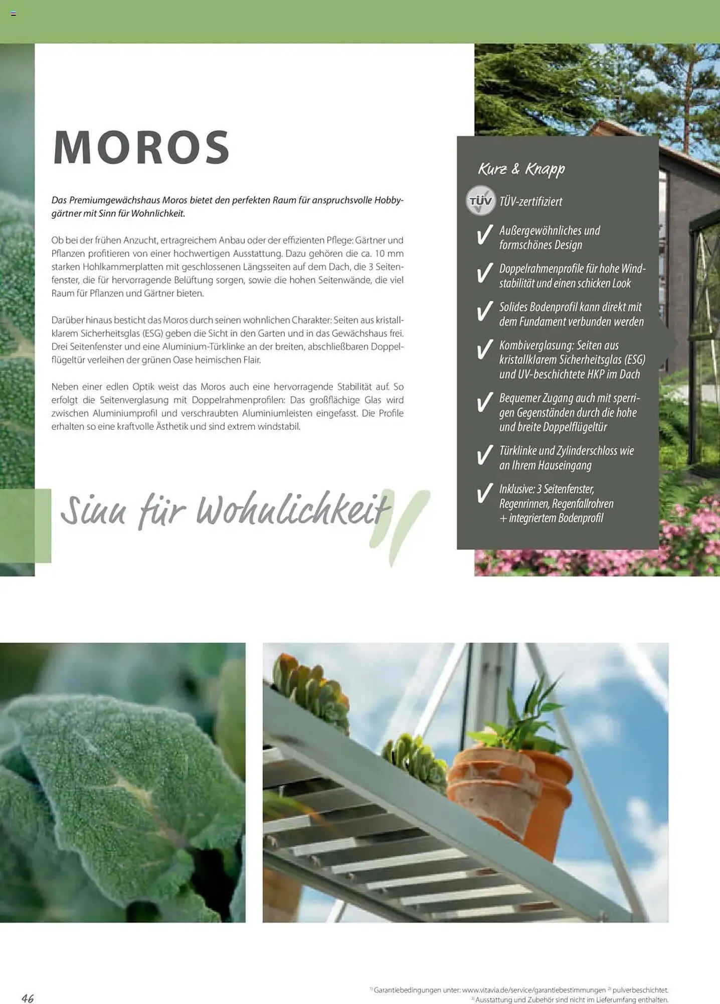 Dehner Prospekt von 1. Januar bis 31. Dezember 2025 - Prospekt seite 46