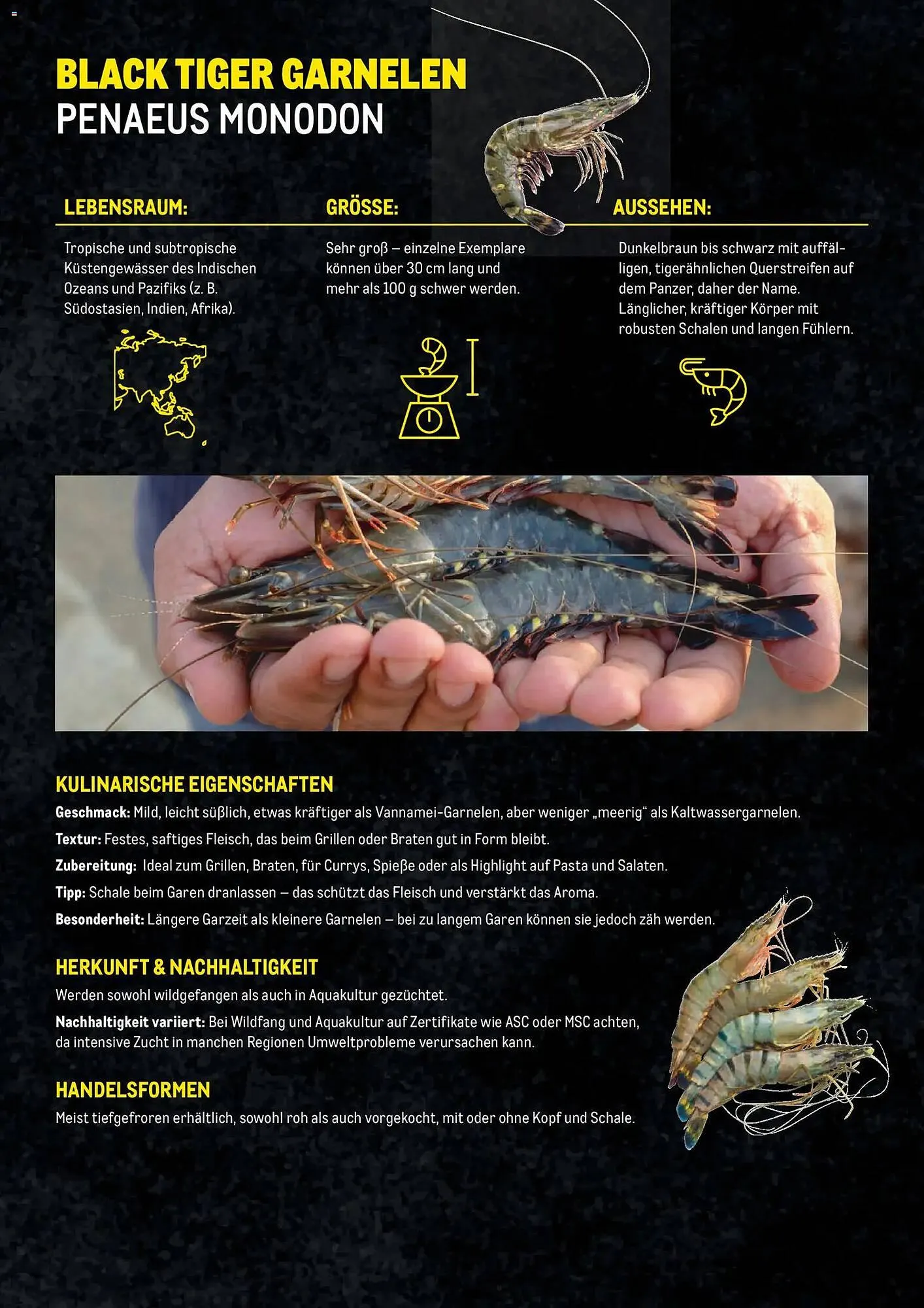 Metro Flugblatt von 27. November bis 31. Dezember 2025 - Flugblätt seite  8