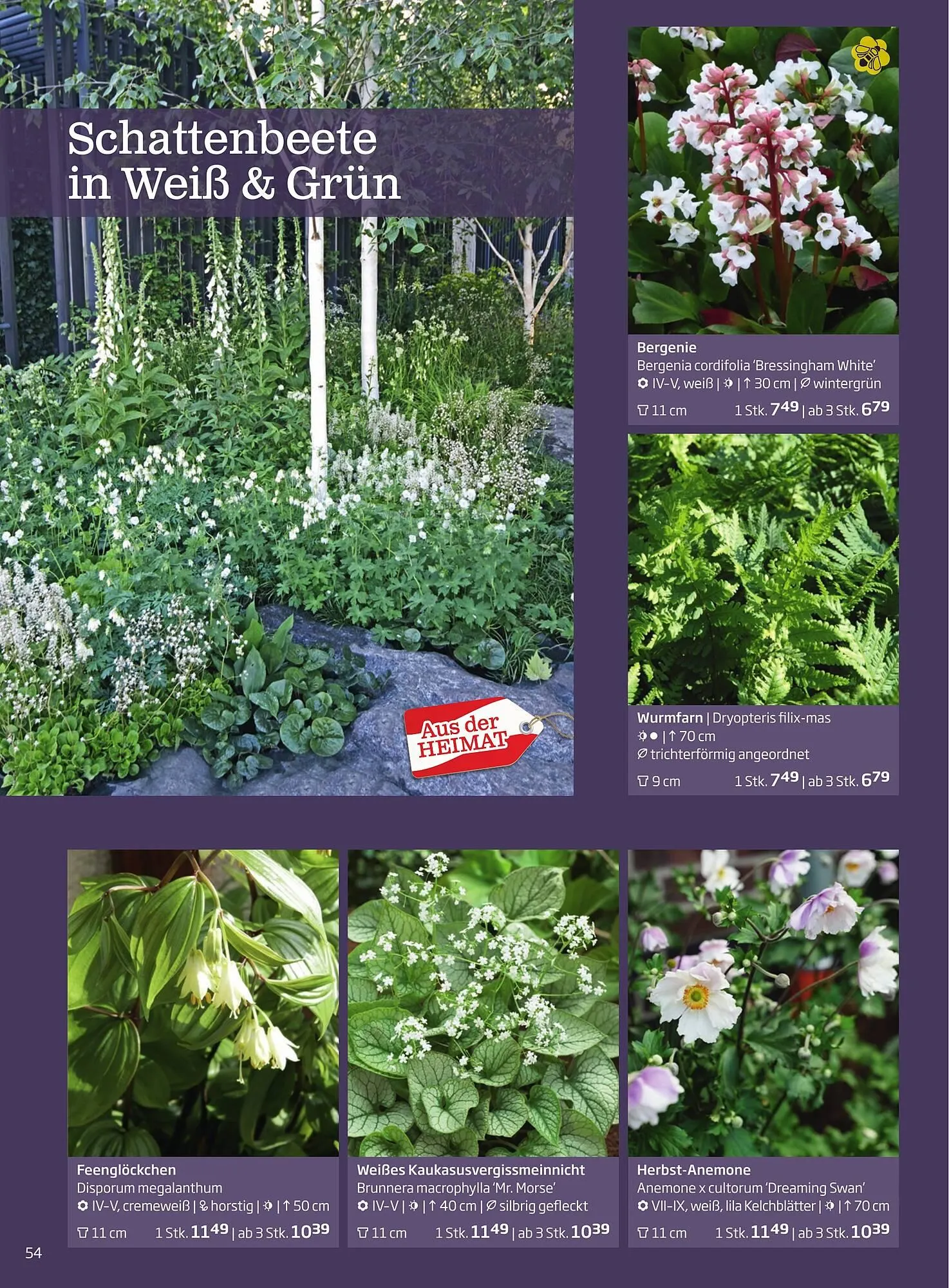 Starkl Flugblatt von 6. Juni bis 31. Dezember 2025 - Flugblätt seite 54