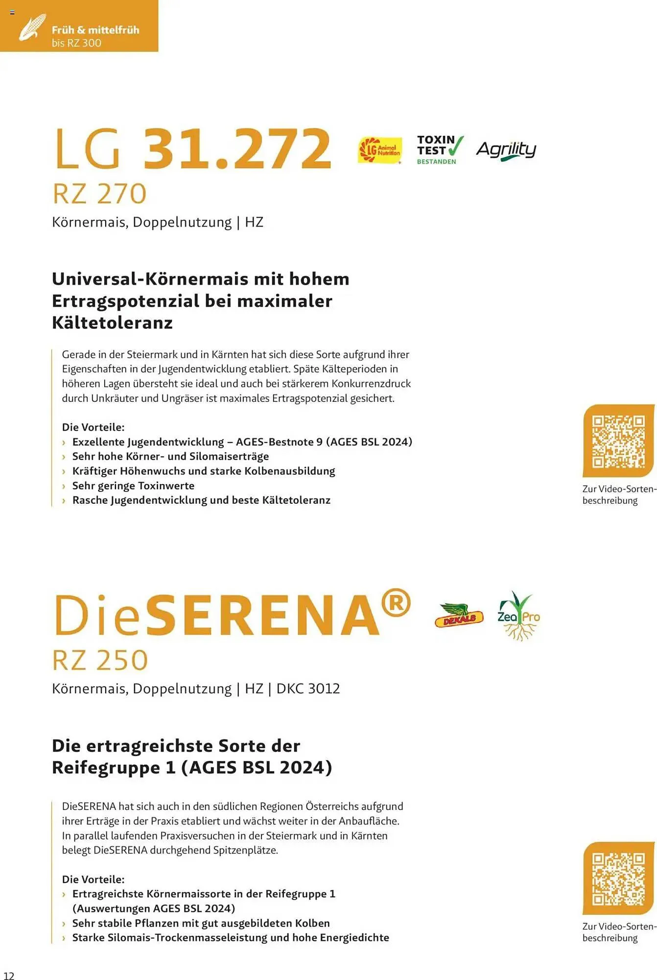 Lagerhaus Flugblatt von 4. Dezember bis 2. Juni 2025 - Flugblätt seite 12