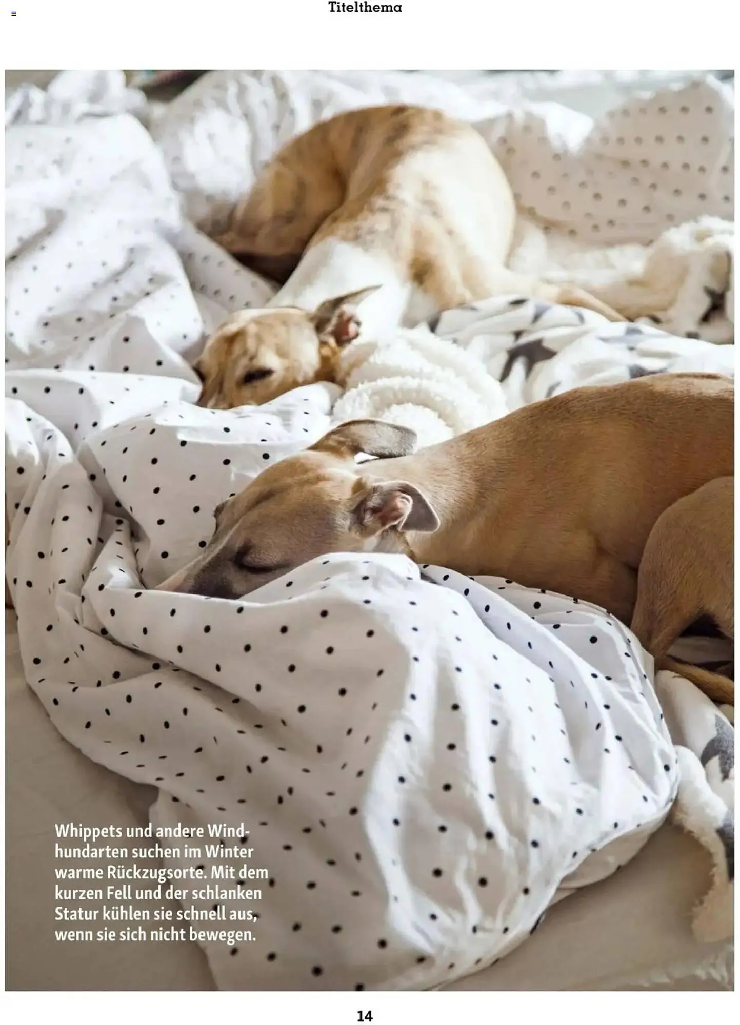 Fressnapf Flugblatt von 2. Jänner bis 2. März 2025 - Flugblätt seite  14